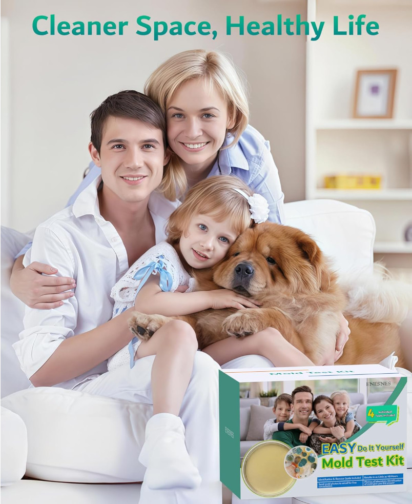 Mold Test Kit for Home Air: DIY Mold Detector with 4 Simple Detection Tests, USA