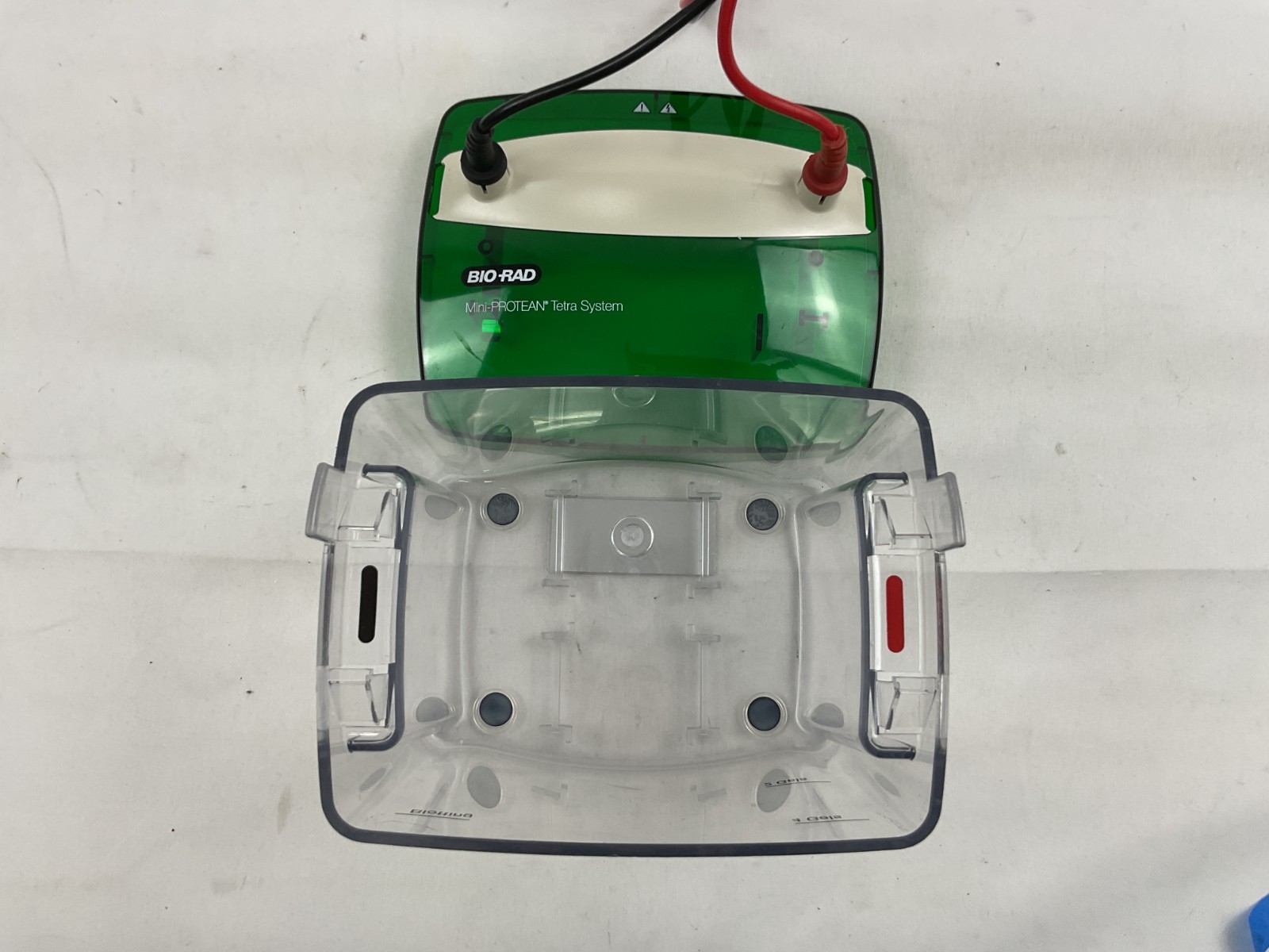 Bio-Rad Mini-PROTEAN Tetra Cell Electrophoresis System w/ Mini Trans-Blot