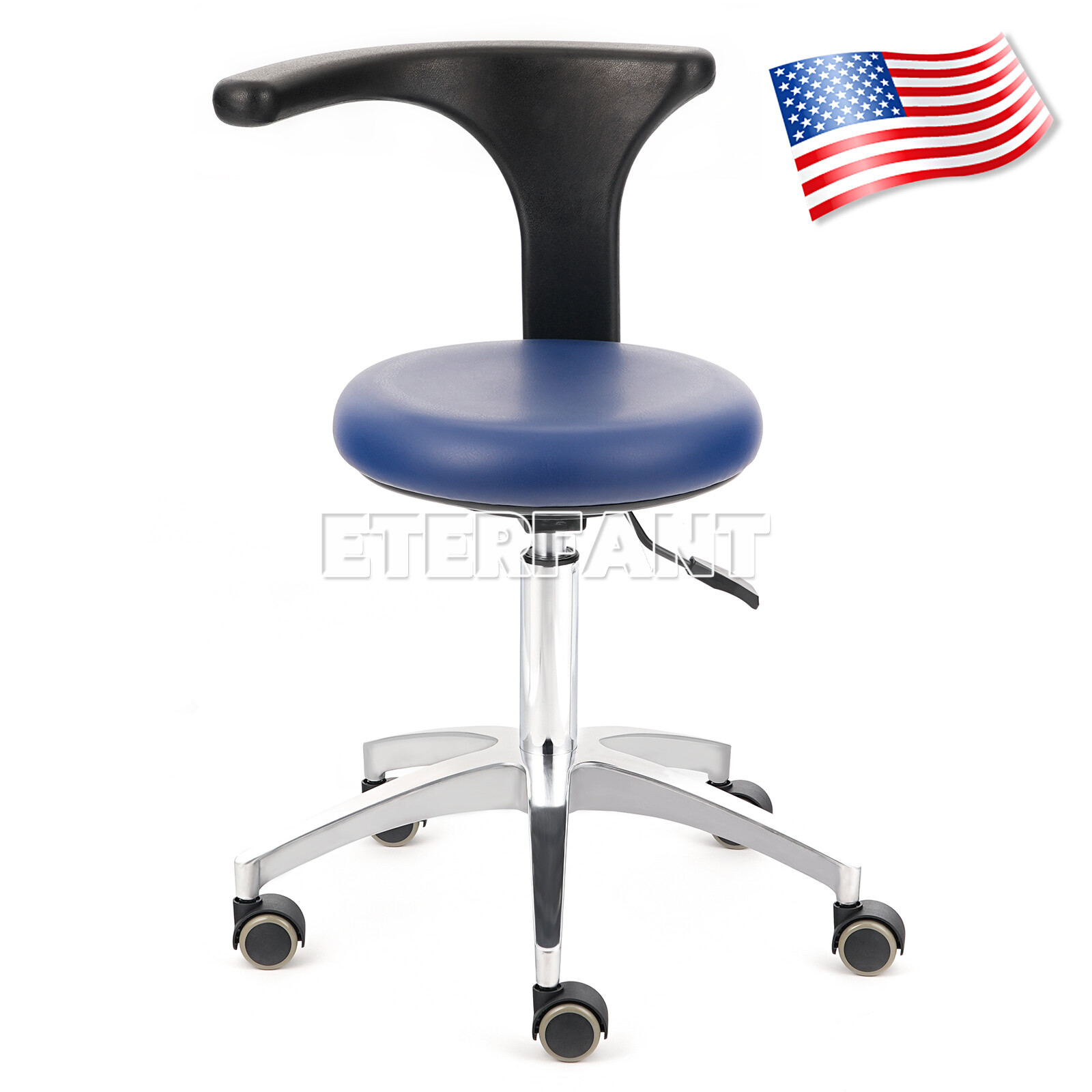 ETERFANT Adjustable Mobile Chair/Medical Microscope Stool Chair with Armrest