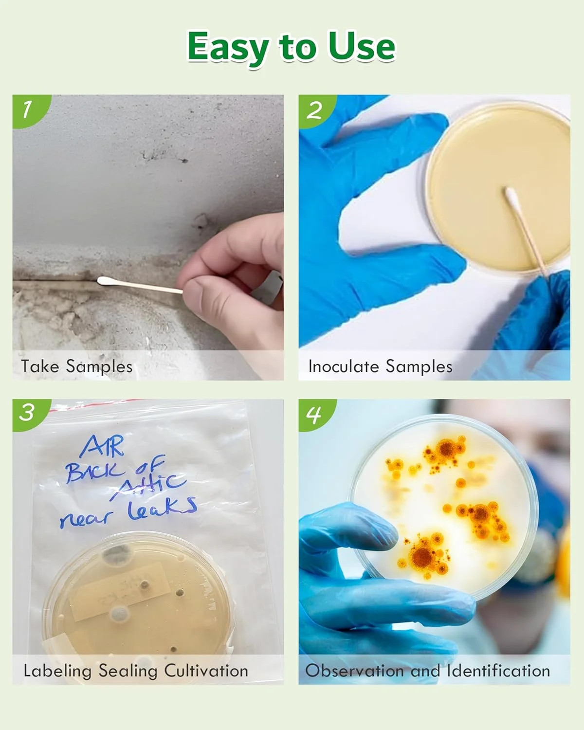 Mold Test Kit for Home, 4 Detection Tests for HVAC, Surfaces & Indoor Air Qualit