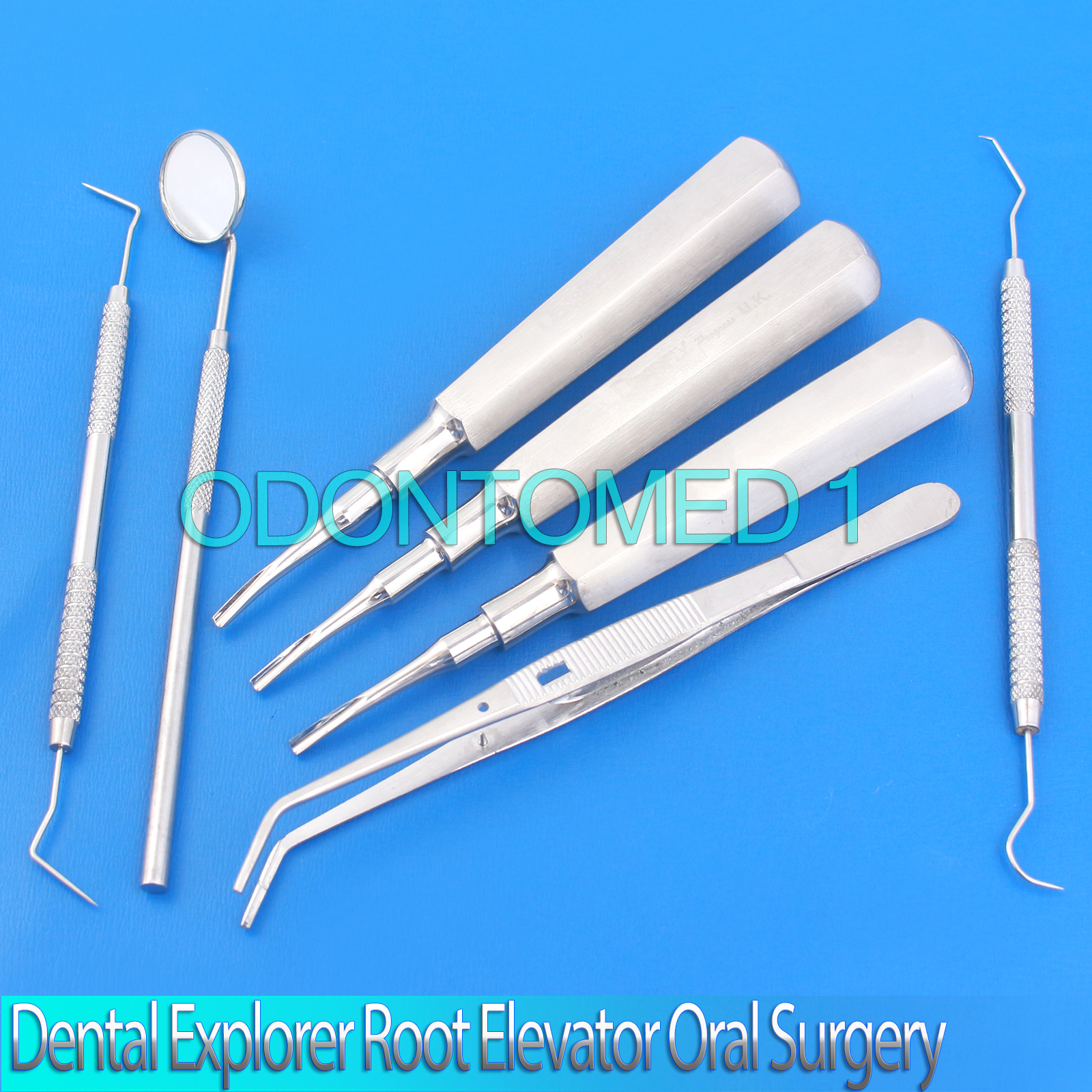 Dental Explorer Coupland Root Elevator Tooth Scraper Oral Surgery Instruments