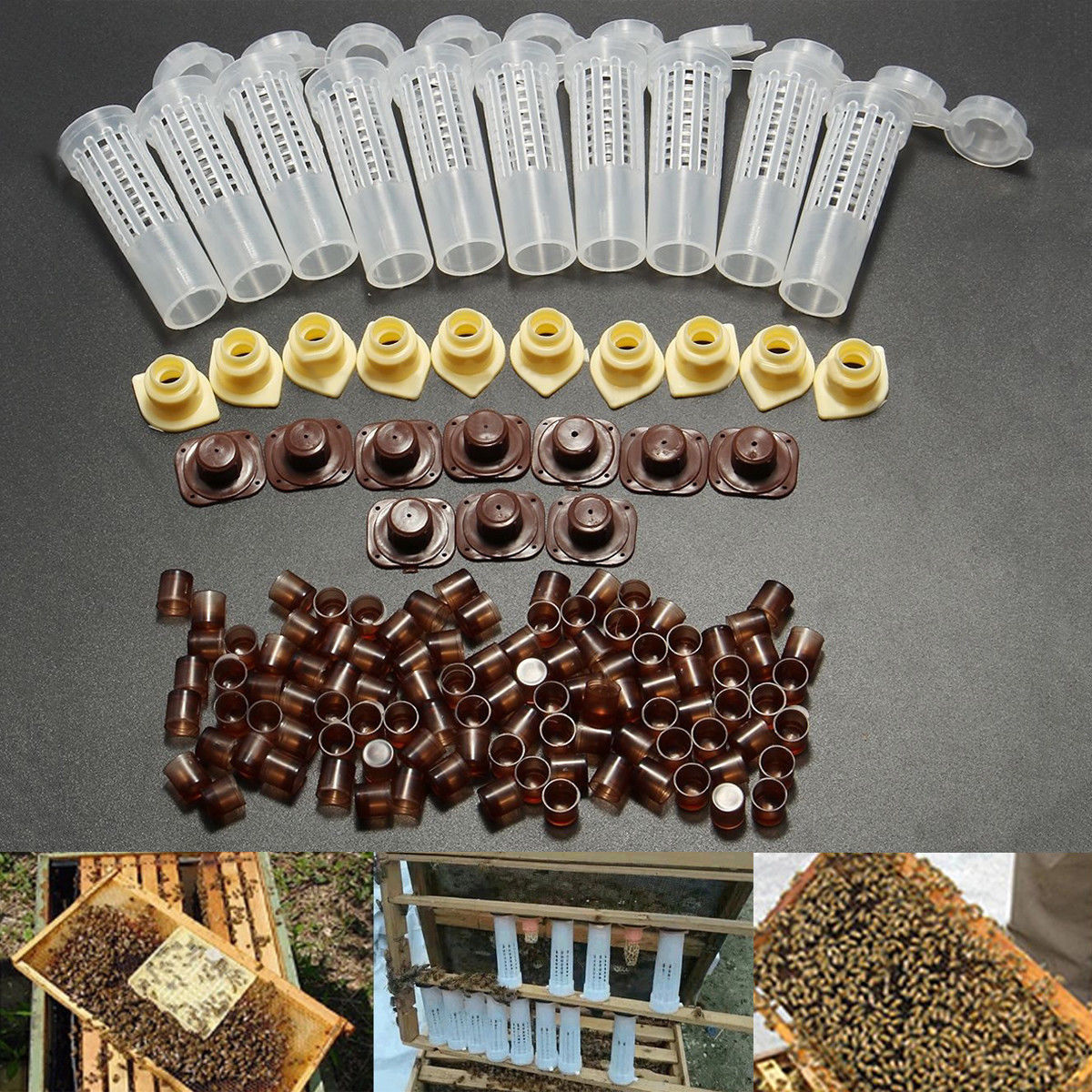 New Bee Queen Rearing Cupkit Complete Box System Beekeeping Cage Kit / Set Cup