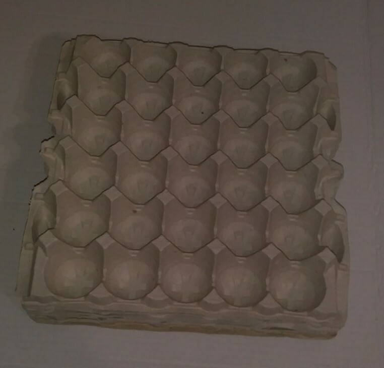 (6) empty 30 count egg paper cartons large craft art supplies
