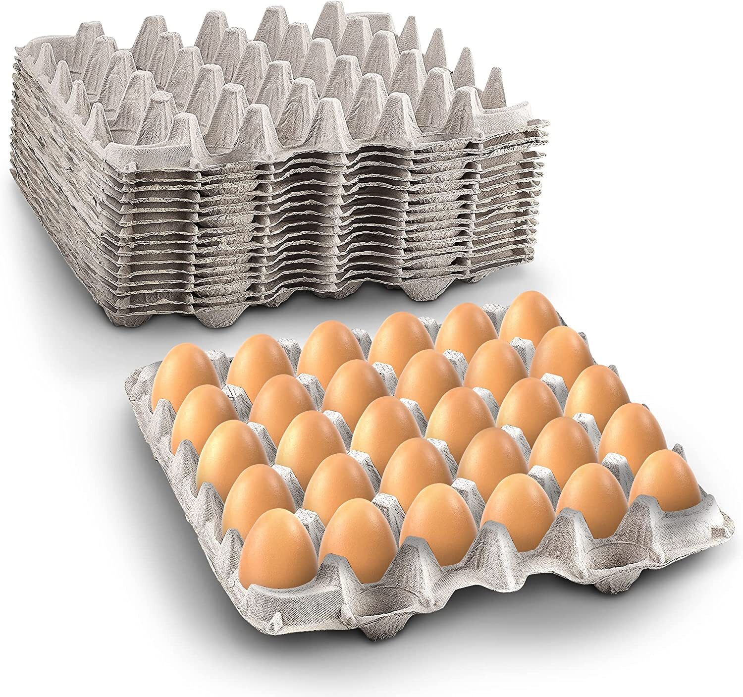MT Products Pulp Flat Egg Cartons | Stores 30 Large to Small Eggs – Pack of 15