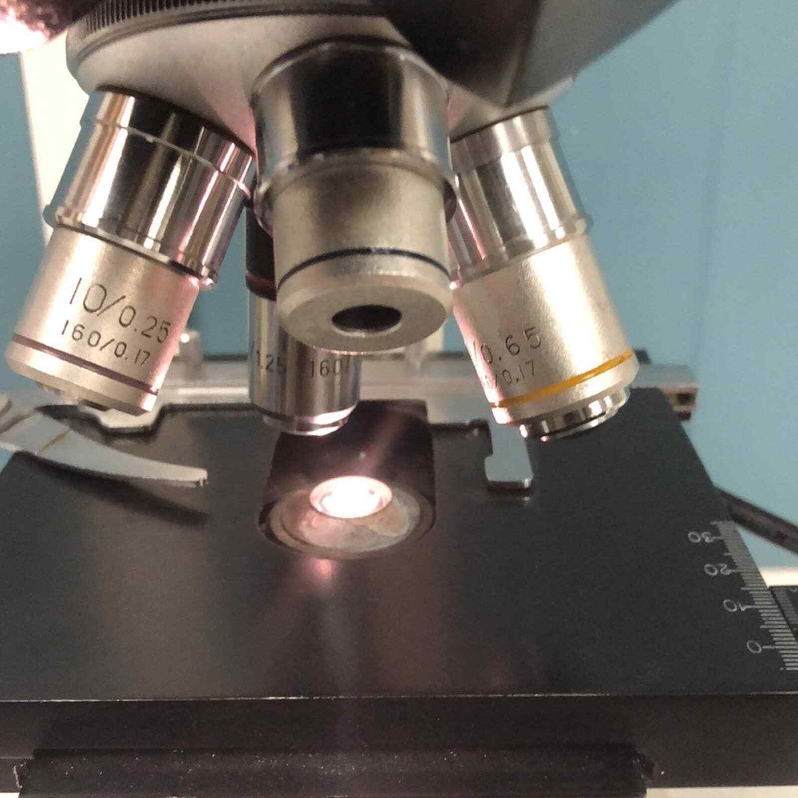 Amerel API MicroGold MICROSCOPE 4X 10X 40X & 100x OBJECTIVES professional