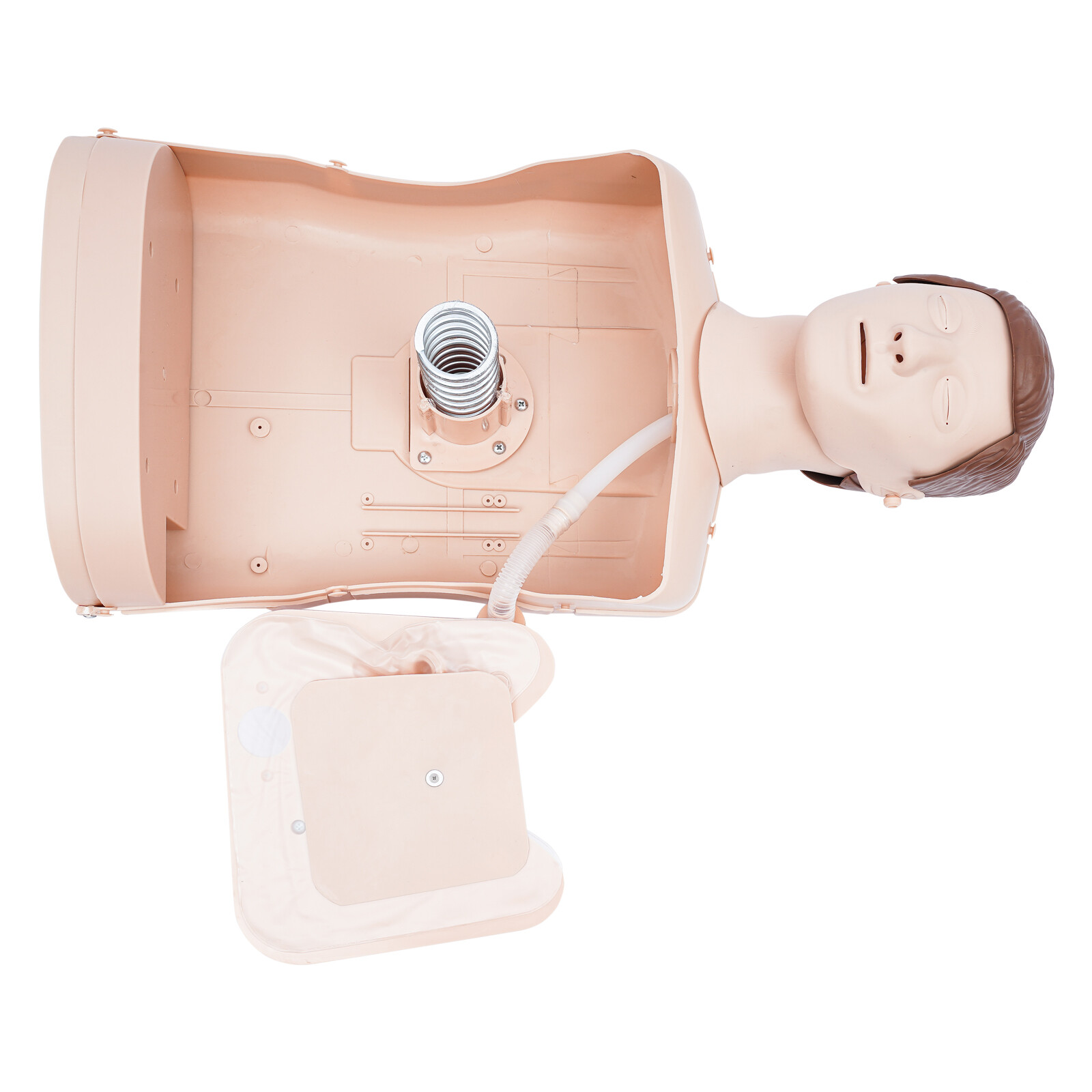 Adult CPR Adult Manikin for First Aid Training Patient Education Simulator Model