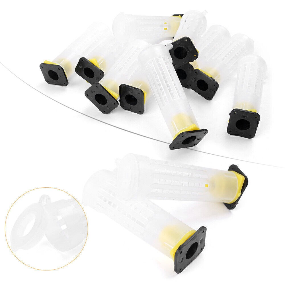 Beekeeping Rearing Cup Kit Queen Bee Cages Beekeeper Equipment Tools Kit 10 PCS