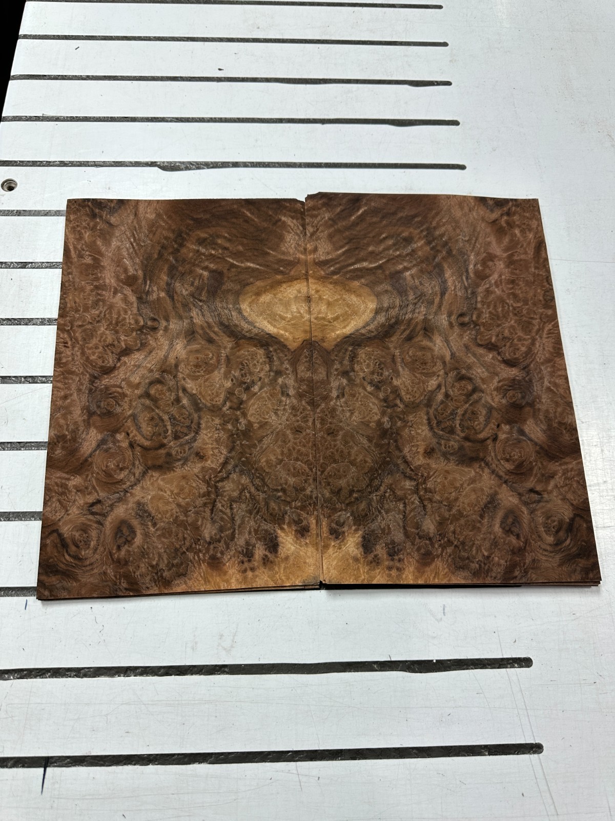 Walnut Burl Raw Wood Veneer 2 sheets 12» x 7» 319F