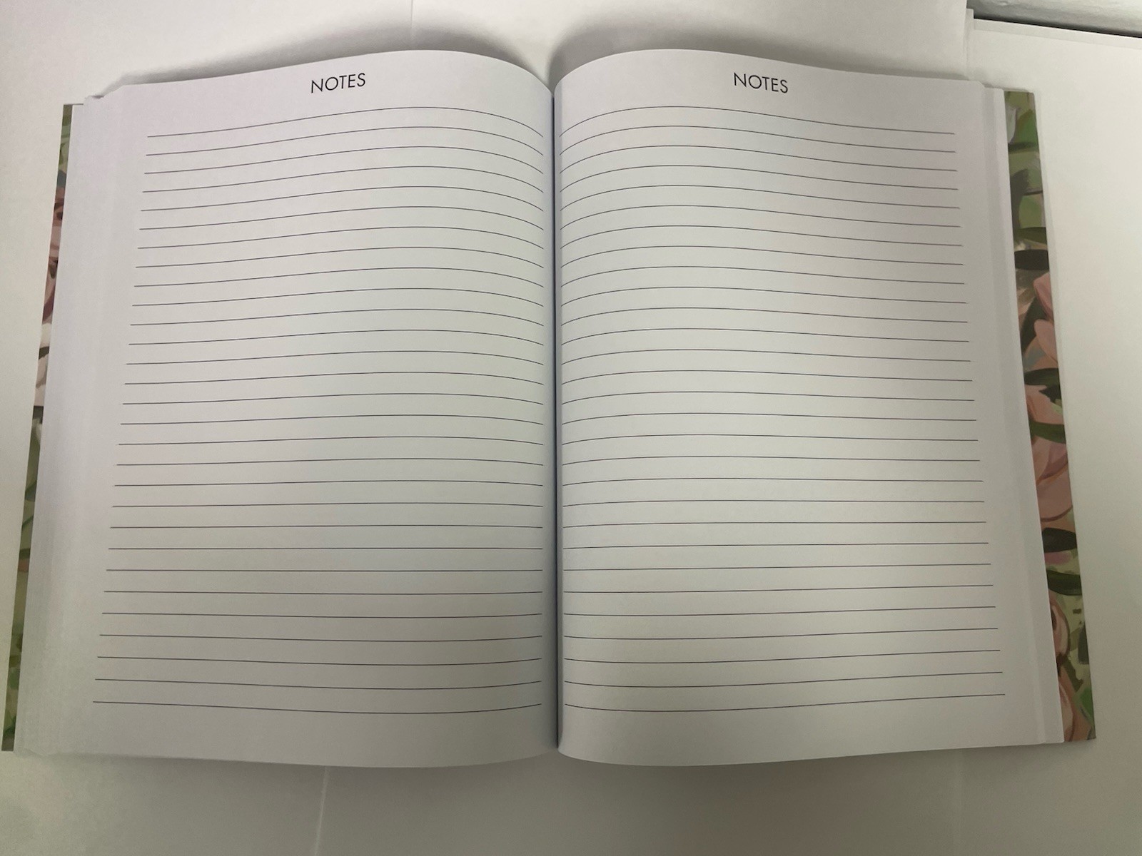 Punch Studio 12 Months Multicolor Floral 2025 Planner Monthly & Weekly Planner
