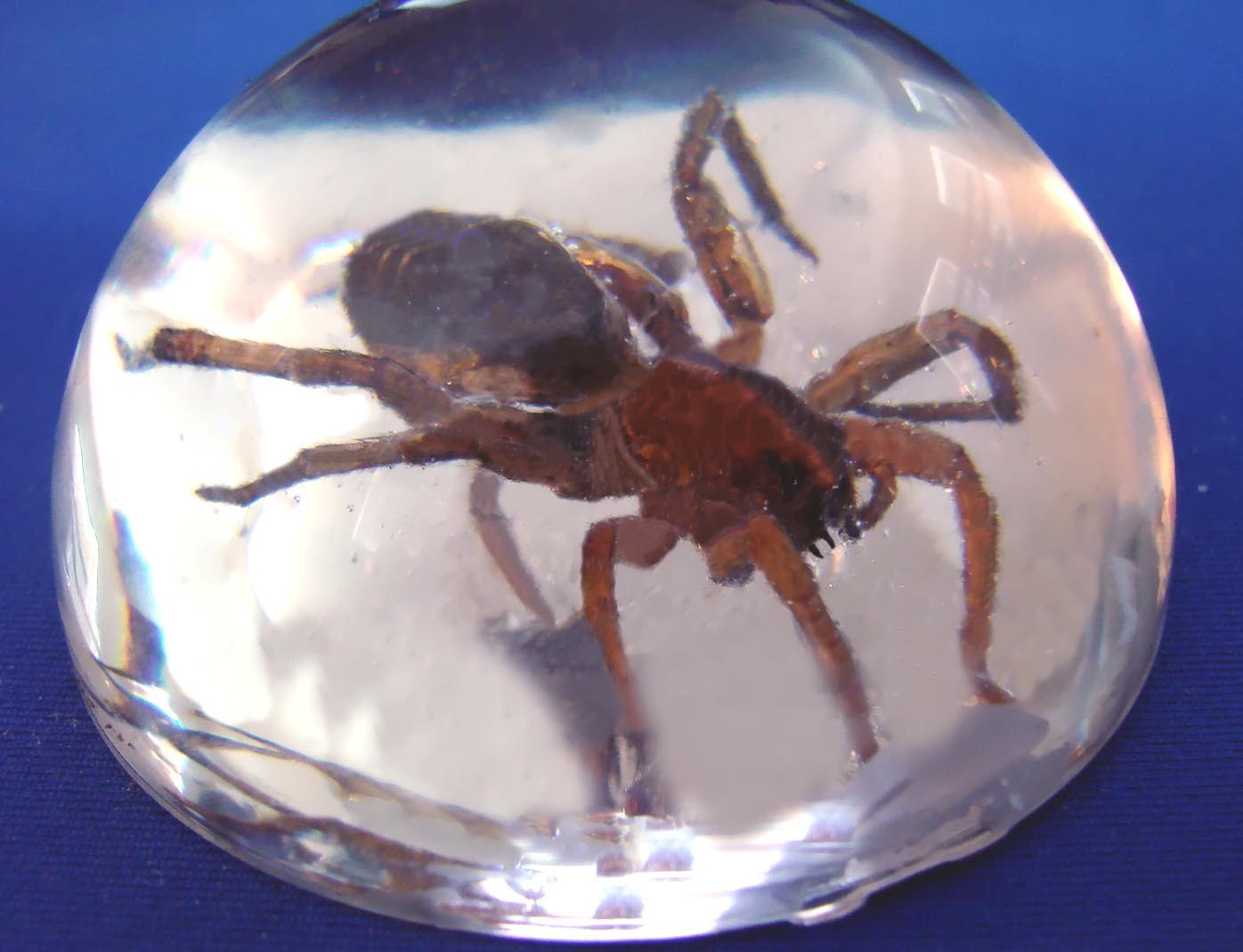EPOXY RESIN CRYSTAL CLEAR CASTING COATING & LAMINATING 4 CARBON & FIBERGLASS 96!