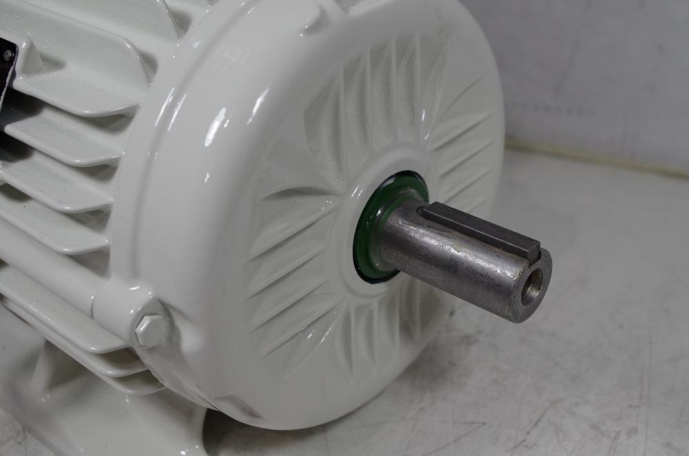 WEG AC MOTOR W22 PREMIUM 5.5KW 7.3HP IP55 480VAC 60HZ. 3500RPM WASHDOWN