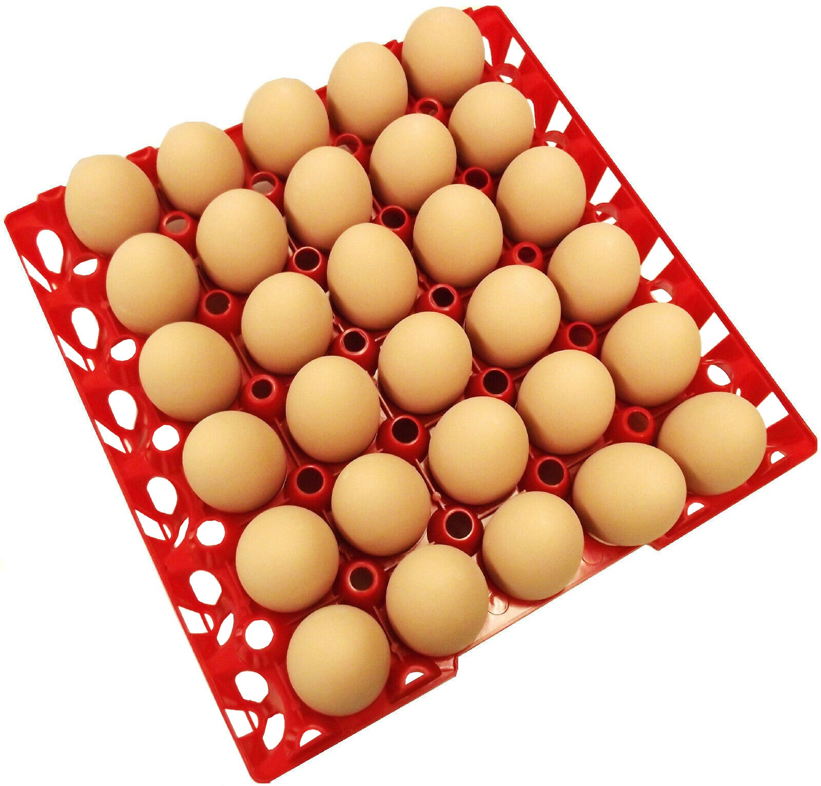 72 RITE FARM PRODUCTS 30 EGG PLASTIC CHICKEN TRAYS SHIPPING CARTON POULTRY FLAT