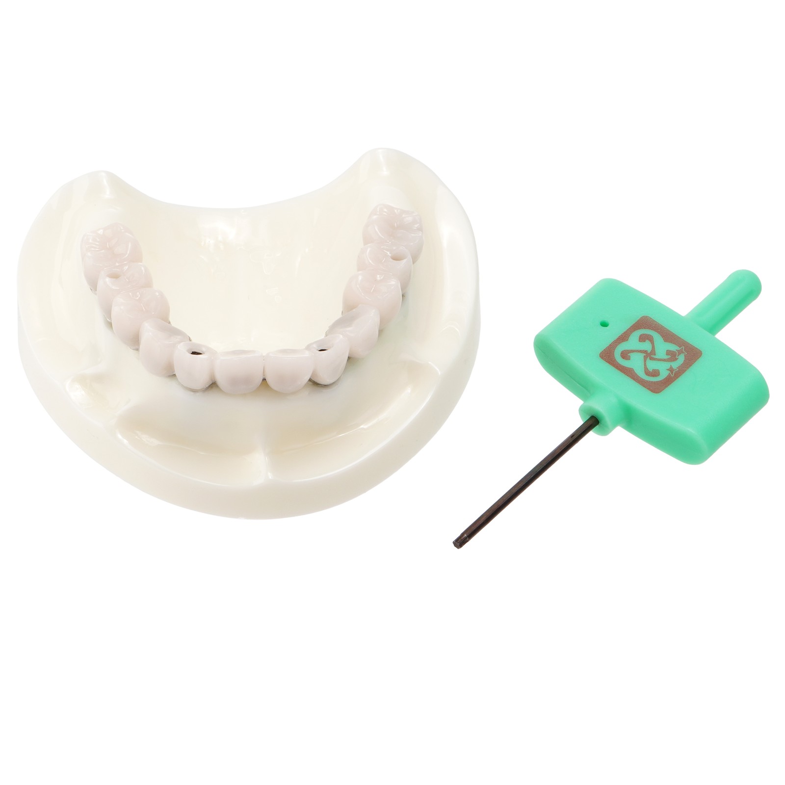 Dental All-on-4 Overdenture Model Dental Upper Jaw Implants Restoration 4 Screws