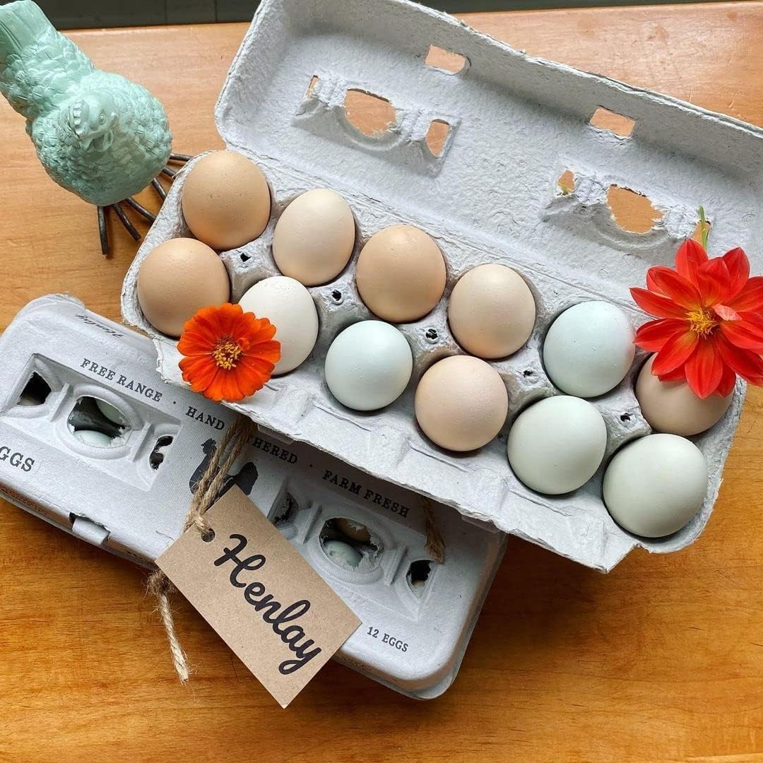 Bulk Egg Cartons – Recycled Cardboard, Sturdy