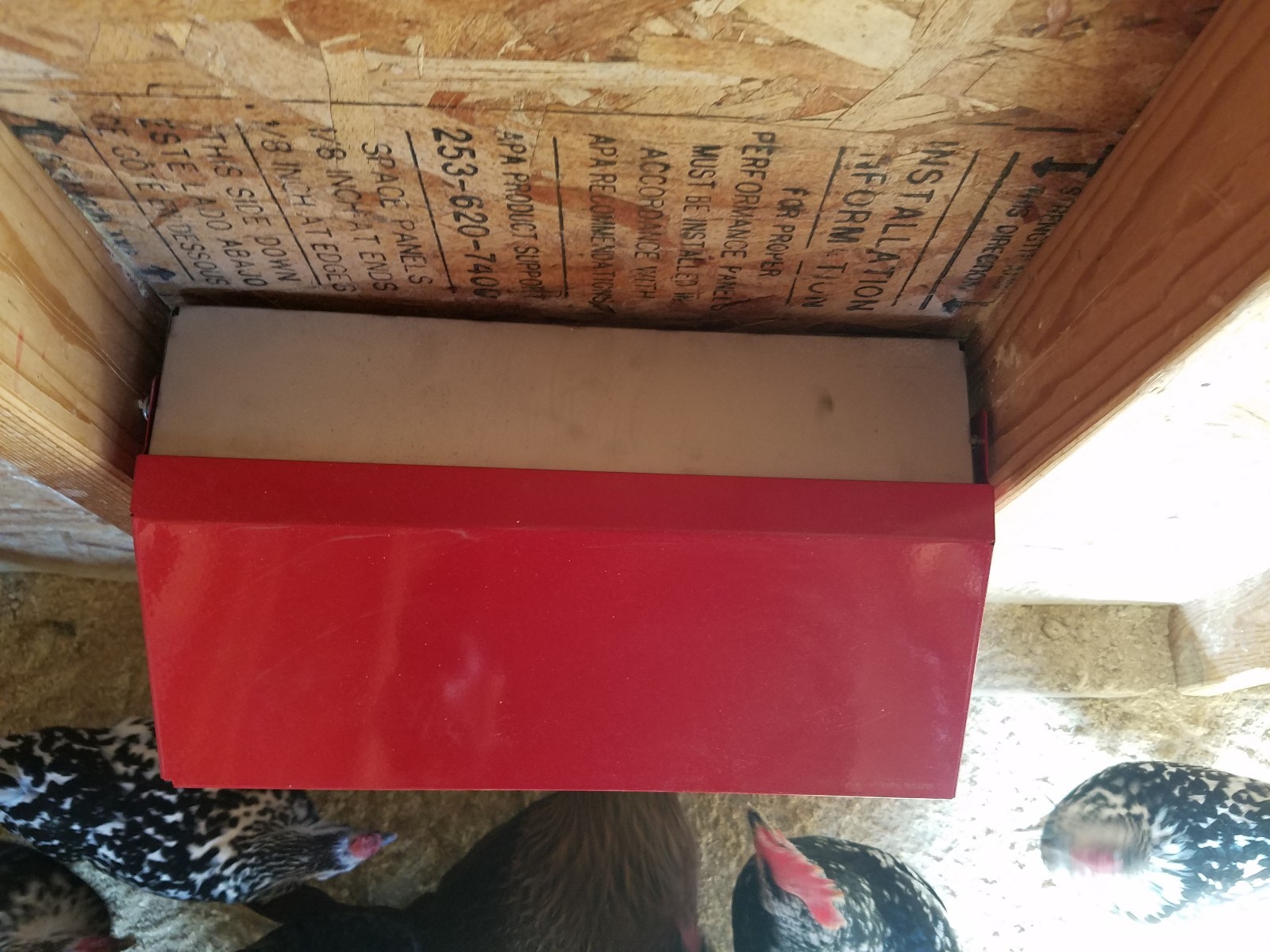 Duncan’s Poultry 50 LB High Capacity Chicken Wall Feeder Hinged Lid Made in USA