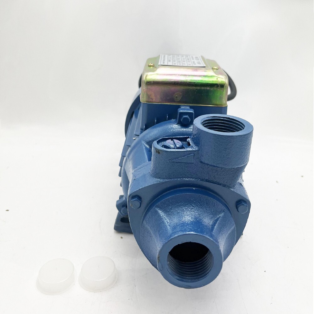 1HP Clear Water Pump Electric Centrifugal Clean Water Industrial Farm Pool Pond