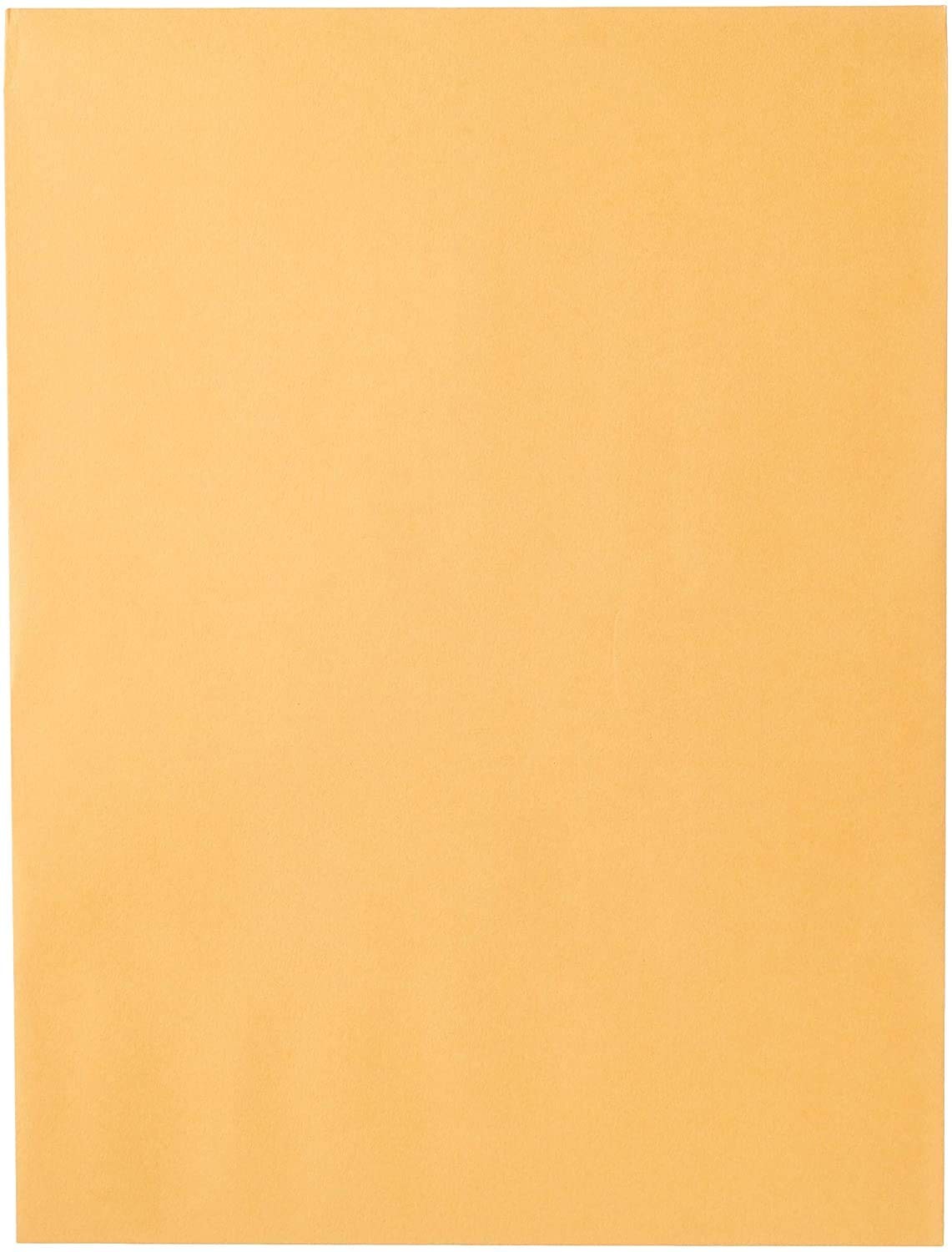 Mead 9» X 12» Clasp Heavy Weight Legal Size Office Envelopes 20 Pack 76020
