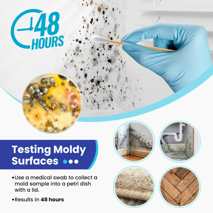 Mold Test Kit for Home Air: DIY Mold Detector with 5 Simple Detection Tests, USA
