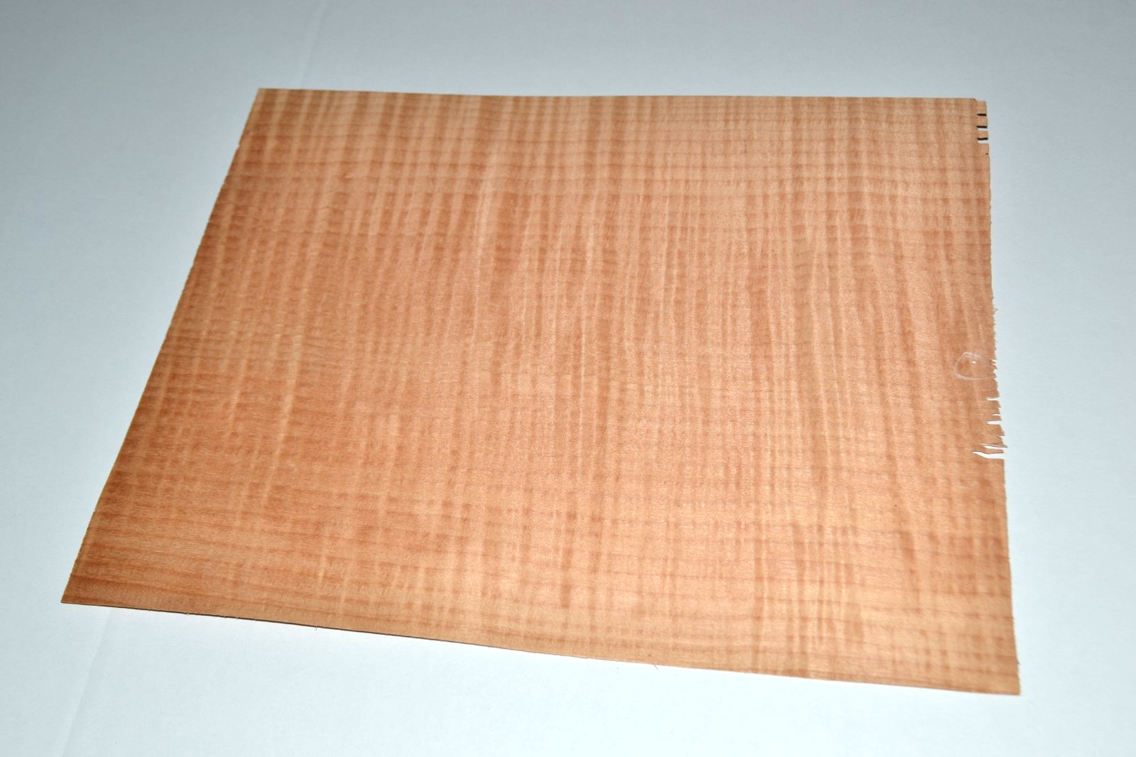Western Red Maple Raw Wood Veneer Sheet 12 x 14 inches 1/42nd 8628-38