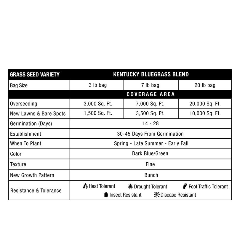 Pure Grass Seed Kentucky Bluegrass Blend 7 Lb 7000SqFt 14-28 Days Germinate