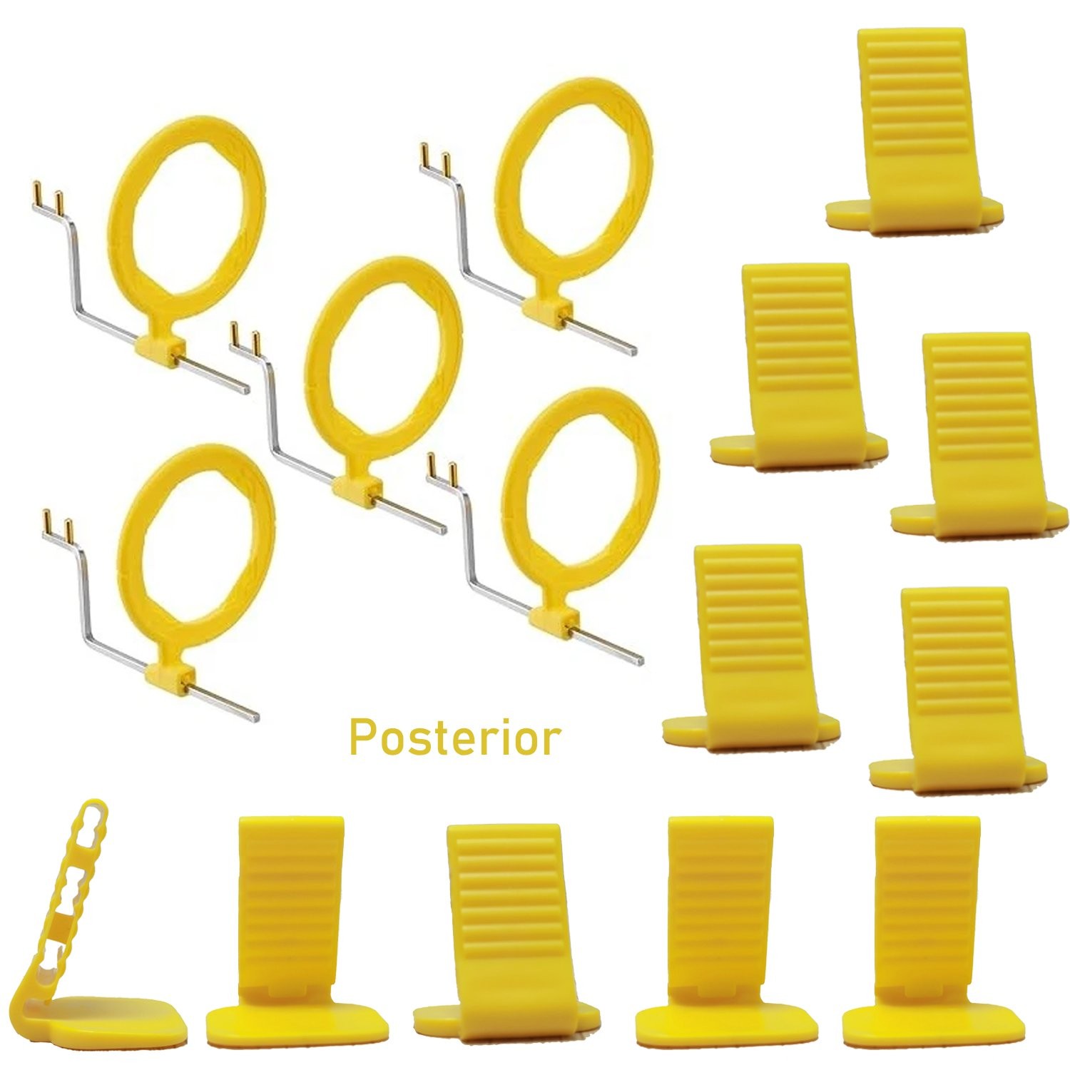 10pcs Dental Sensor Holder X-Ray Positioning,5pcs Indicator Arming,5pcs Ring
