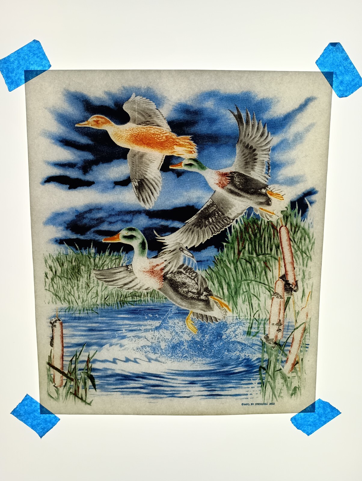 Authentic Vintage 90’s Ducks Outdoors Nature Heat Transfer Iron On NOS
