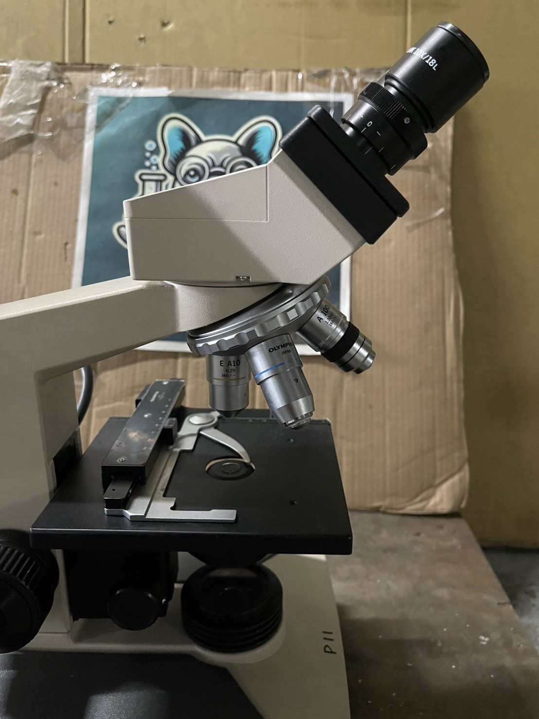 Olympus CH2 Binocular Microscope w/ 4x 10x 40x 100x Objectives Mechanical Stage
