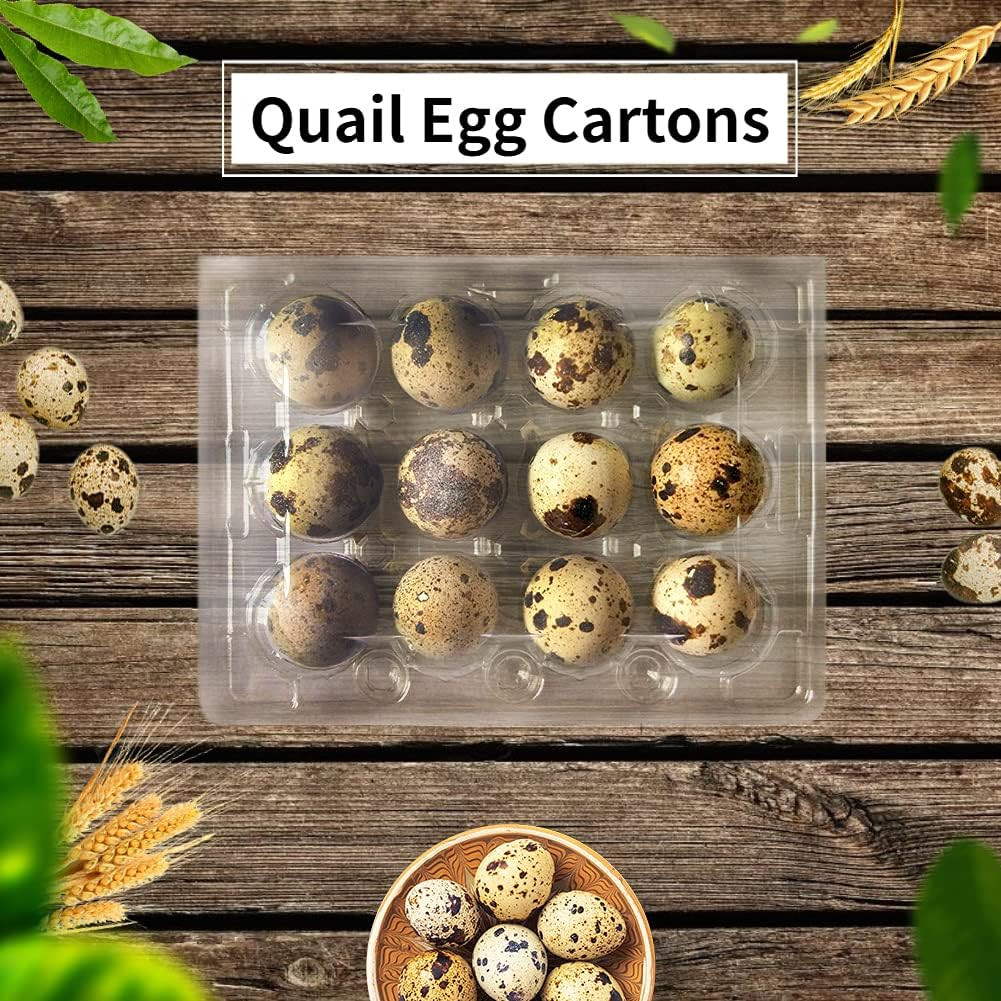 50 Pcs Quail Egg Cartons,12 Grids Small Egg Storage Holders,Quail Eggs Bulk Cart