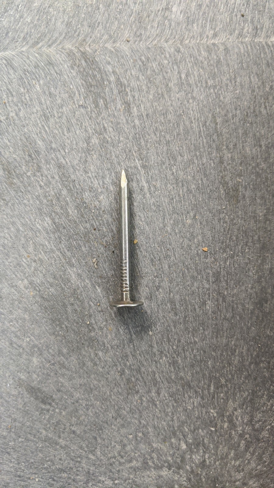 5 Pounds of 1 5/8″ Common Nails