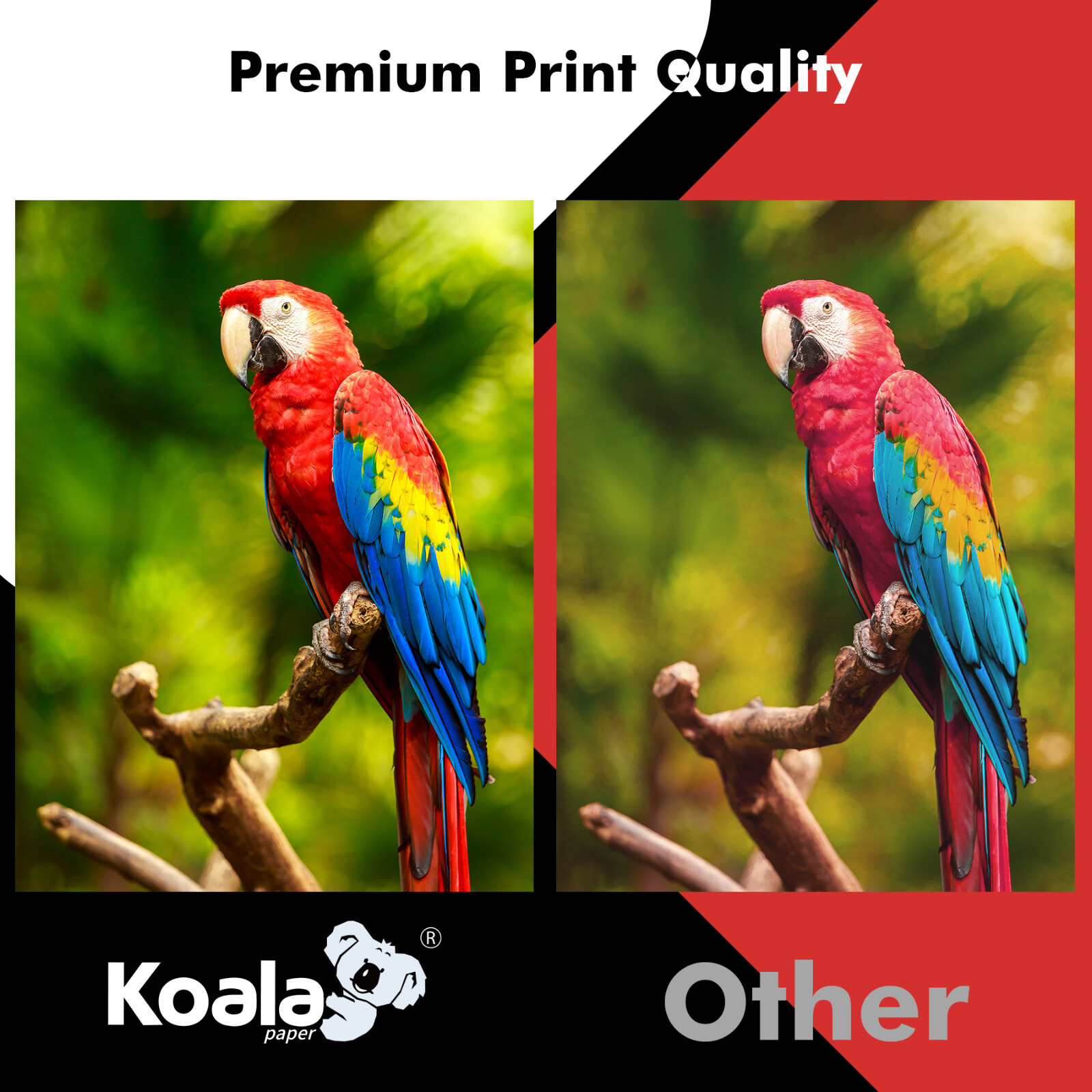 Koala Inkjet Transparency Film Clear 8.5×11 20 Sheet Overhead Projector Crafts