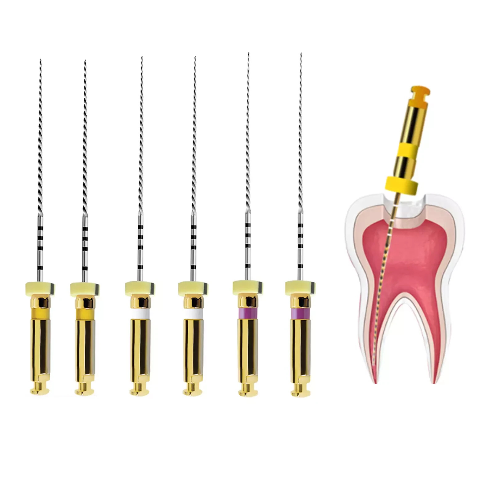 5 Box Dental Nickel Titanium Alloy 135℃ Autoclavable Endo Rotary NiTi Root Canal