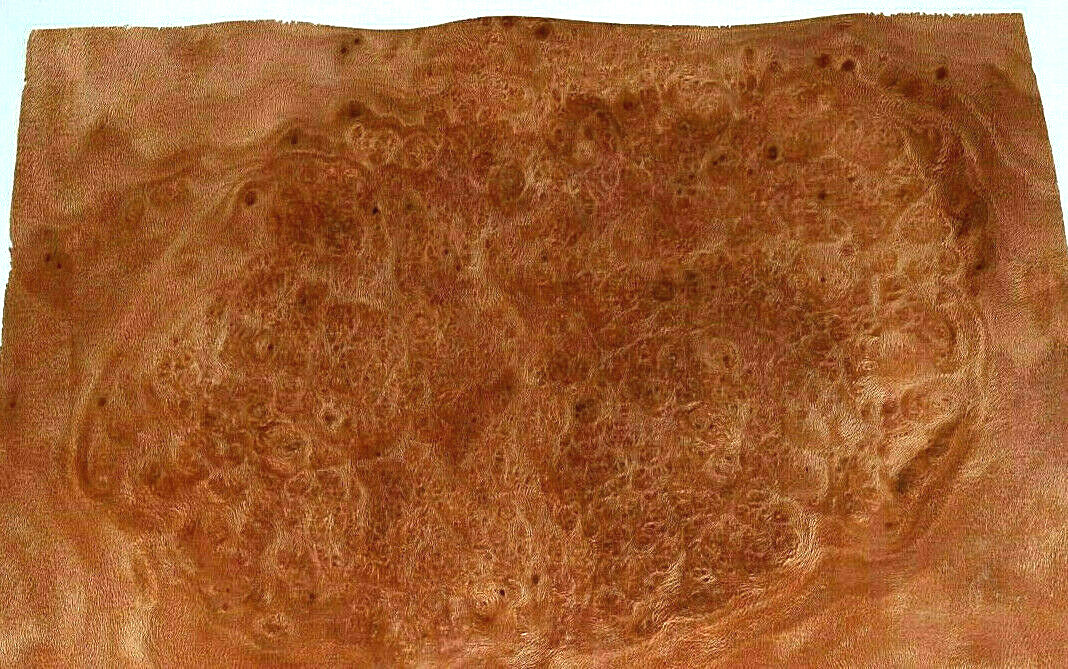 Planetree Burl Raw Wood Veneer Sheets 8 x 10 inches 1/42nd IFPa7368-37