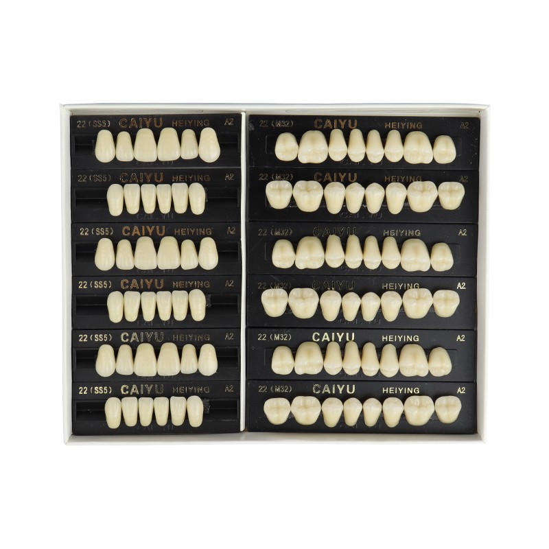 3*28Pcs/Set A1 A2 A3 Shade Dental Full Mouth Synthetic Resin Teeth Denture