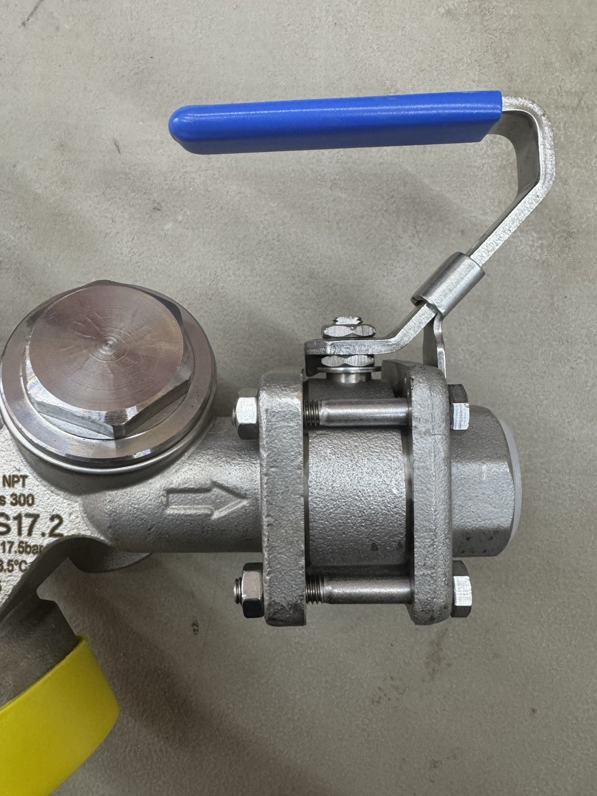 SPIRAX SARCO STS 17.2 Compact 3/4” IPS NPT Pipeline Steam Trapping Station SS