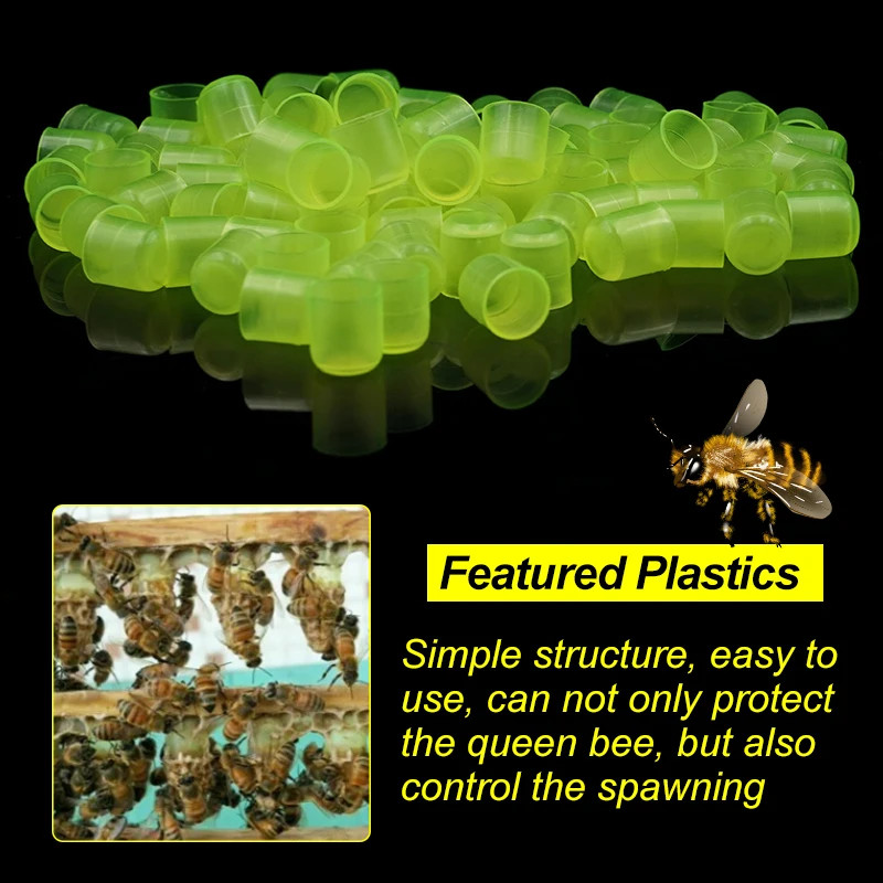 1Set Beekeeping Cages King Queen Rearing System Plastic Bee Tool Catcher Box