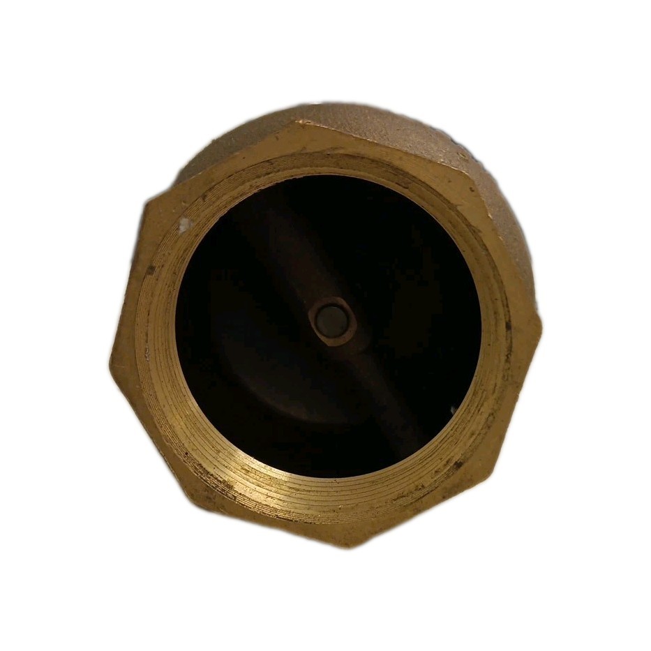 NIBCO 2″ Spring Check Valve 250 WOG Bronze FNPT