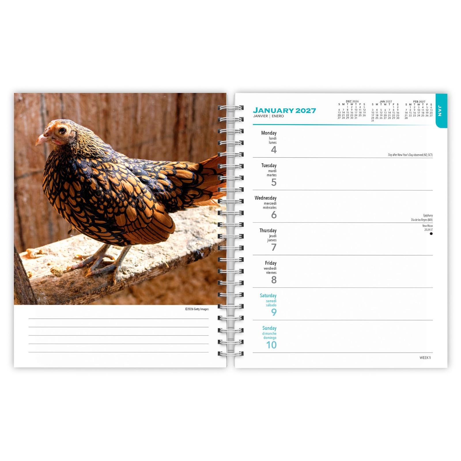 Chickens | 2027 6×7.75″ Spiral-Bound Wire-O Weekly Engagement Planner Calendar