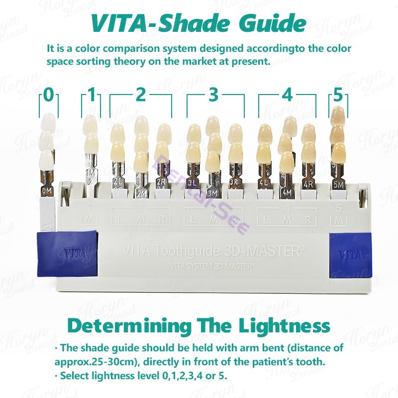 Dental VITA Toothguide 3D Master with Bleached Shade Guide Resin 29 Colors