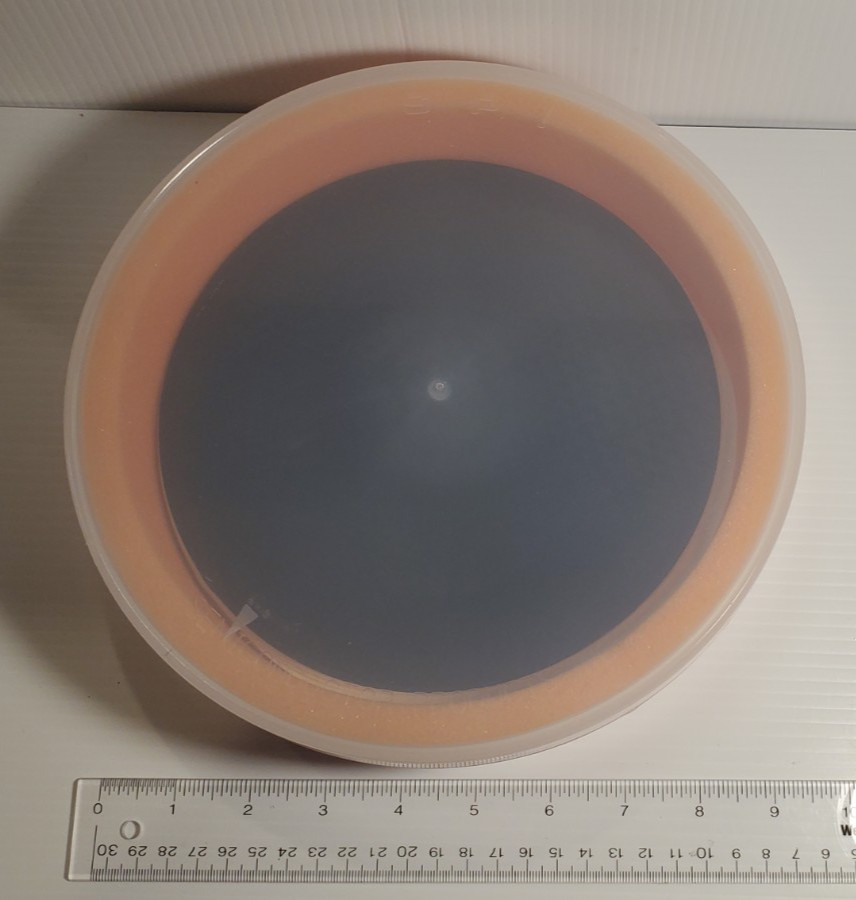 Empty Container for 25 8″ 200MM Silicon Wafers SPI Semiconductor Products Inc