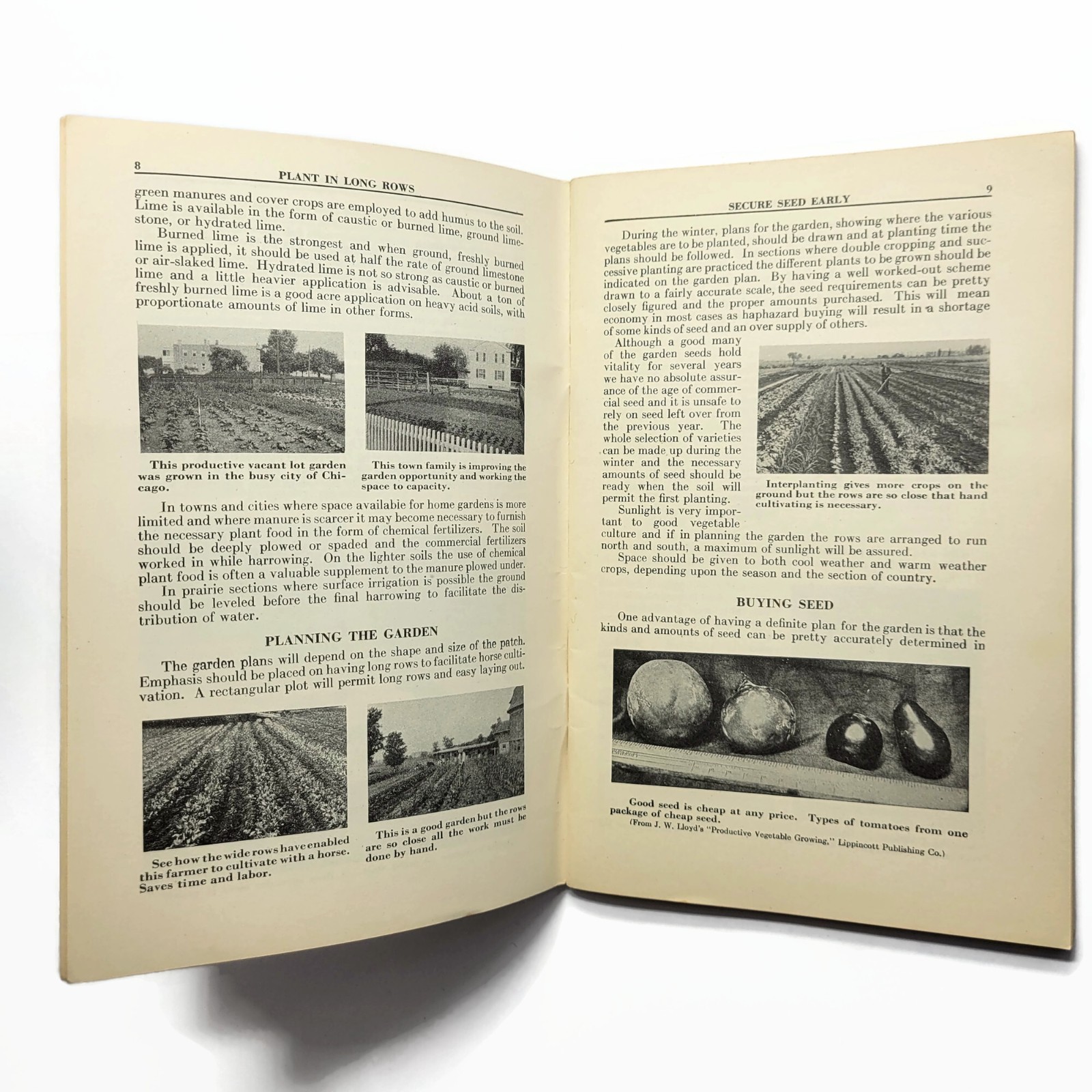 Vintage 1943 WWII Have A Victory Garden Booklet International Harvester Booklet