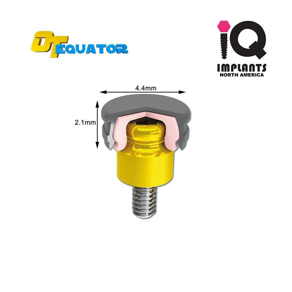 IQ-Rhein EQUATOR OD Secure Replacement Caps Rigid, Violet 2.7kg/5.9lbs (4-Pack)