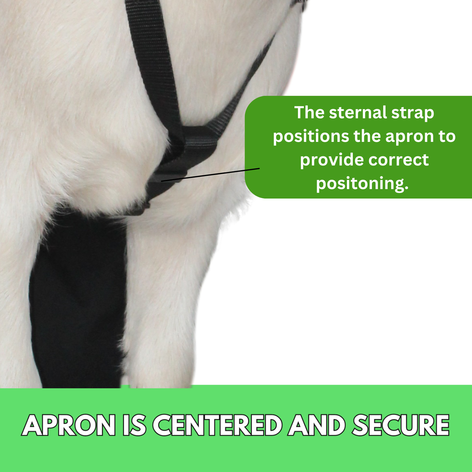 Anti Mating Anti Breeding OLOR Buck Apron™ with Harness – Goats/Sheep SMALL