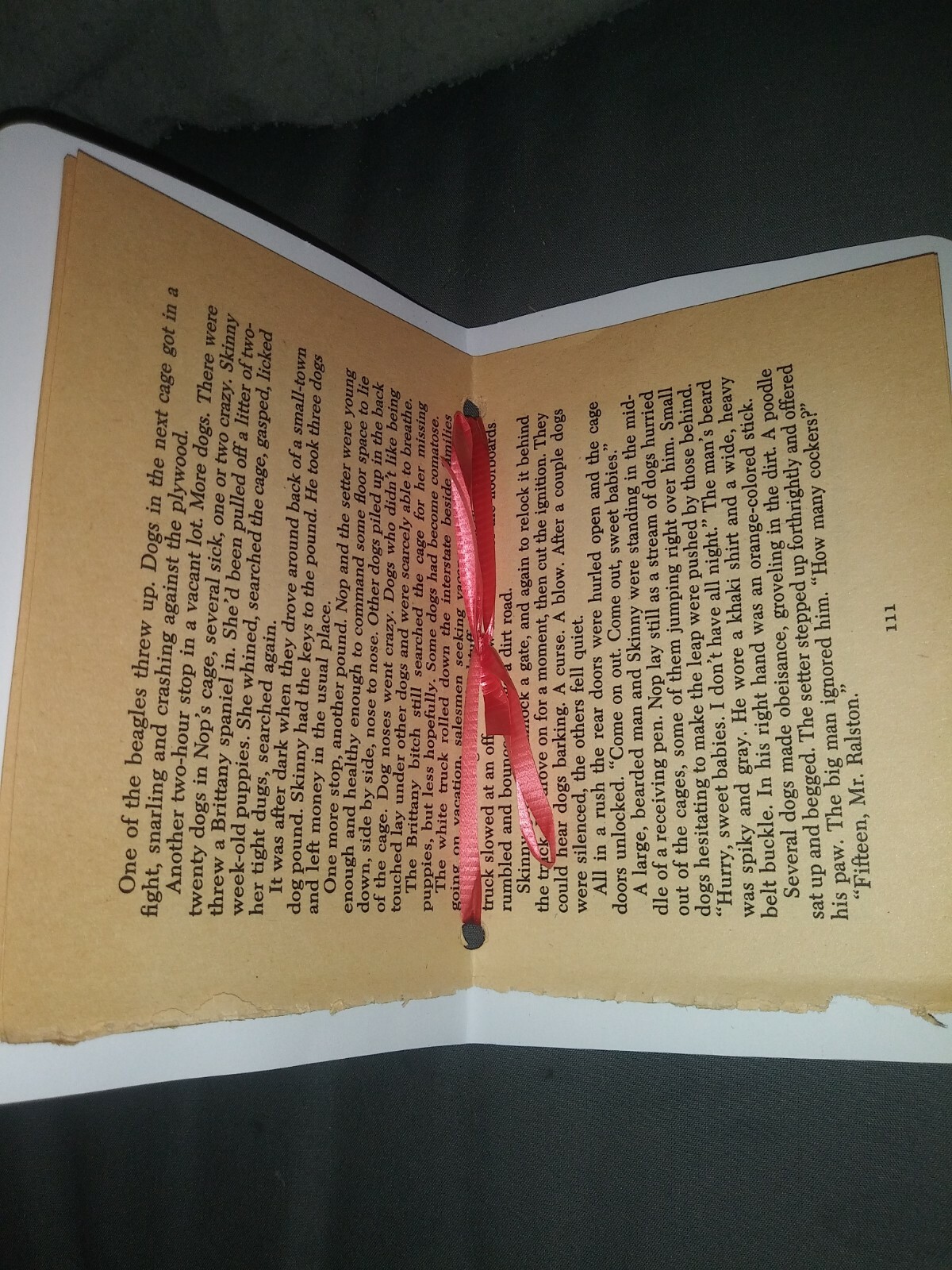 Small Blank Mini forest/fall Junk Journal 3 1/2 x 5 In. 20 vintage book pages