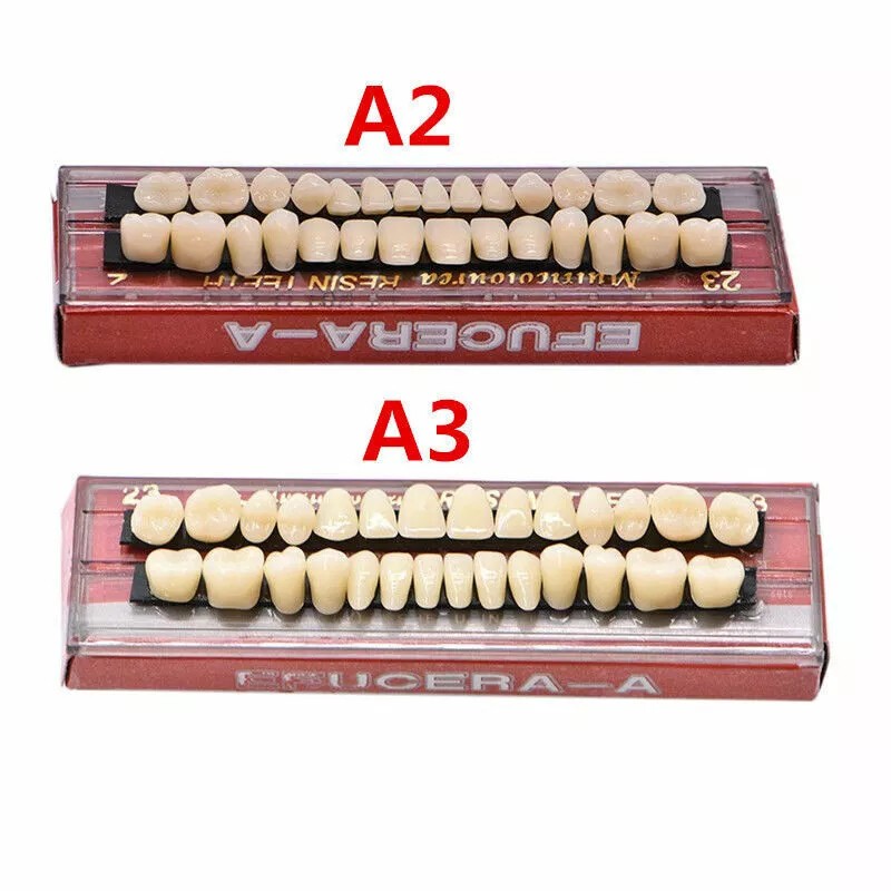 28 Pcs/Set Dental Acrylic Resin Denture Shade #23 A2 A3 Full Set False Teeth