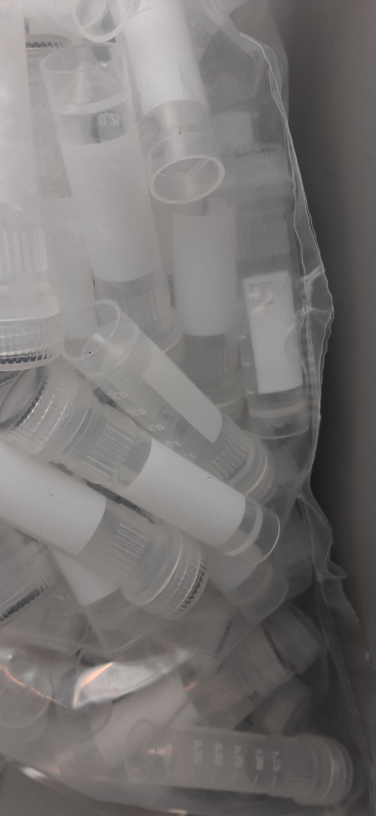 2ml Micro tube /screw cap (80) 72.694.006 Exp. 2025-02-28