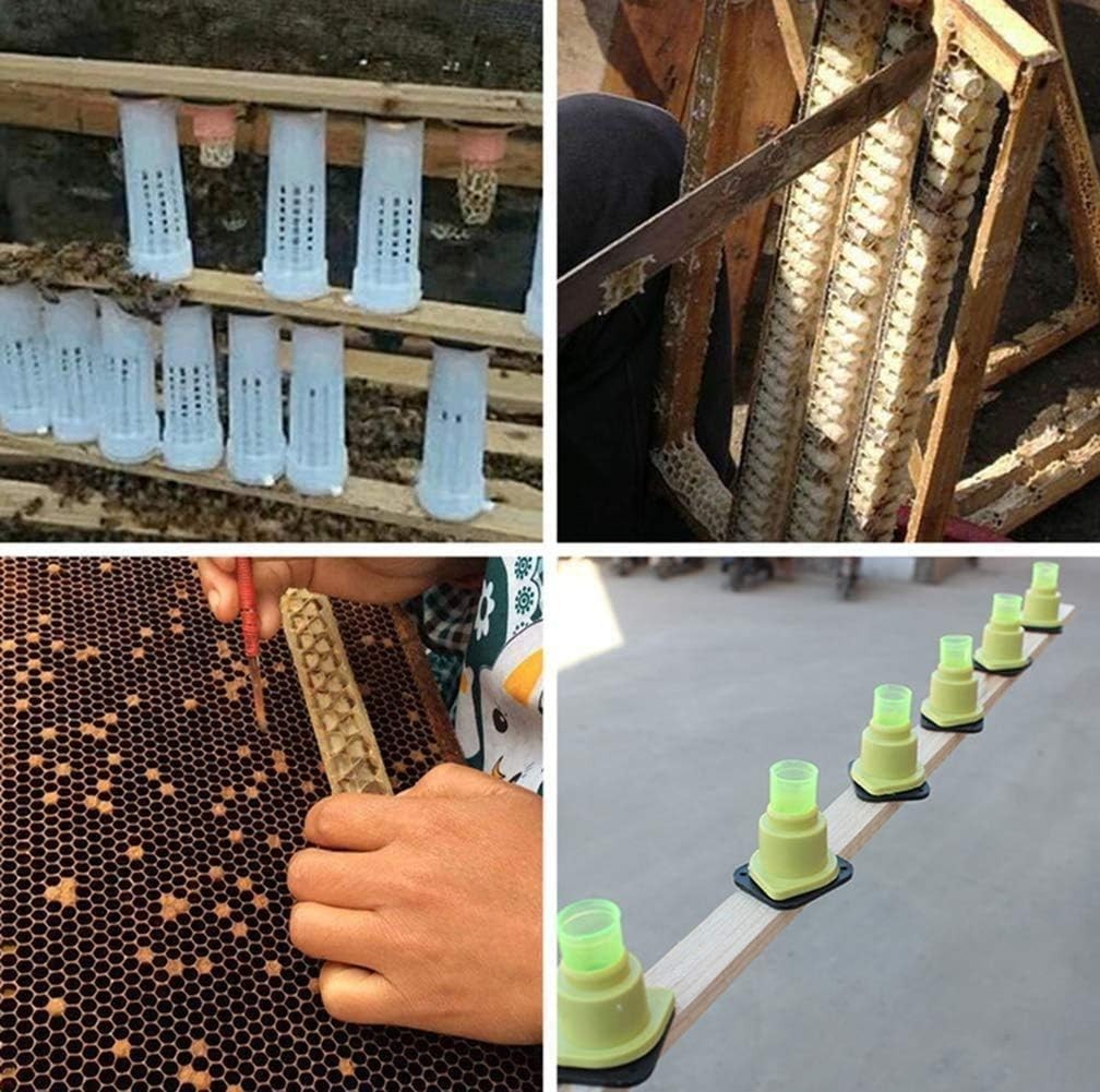 Durable Plastic Queen Bee Roller Cage Kit – 20 Rearing Cups for Beekeepers