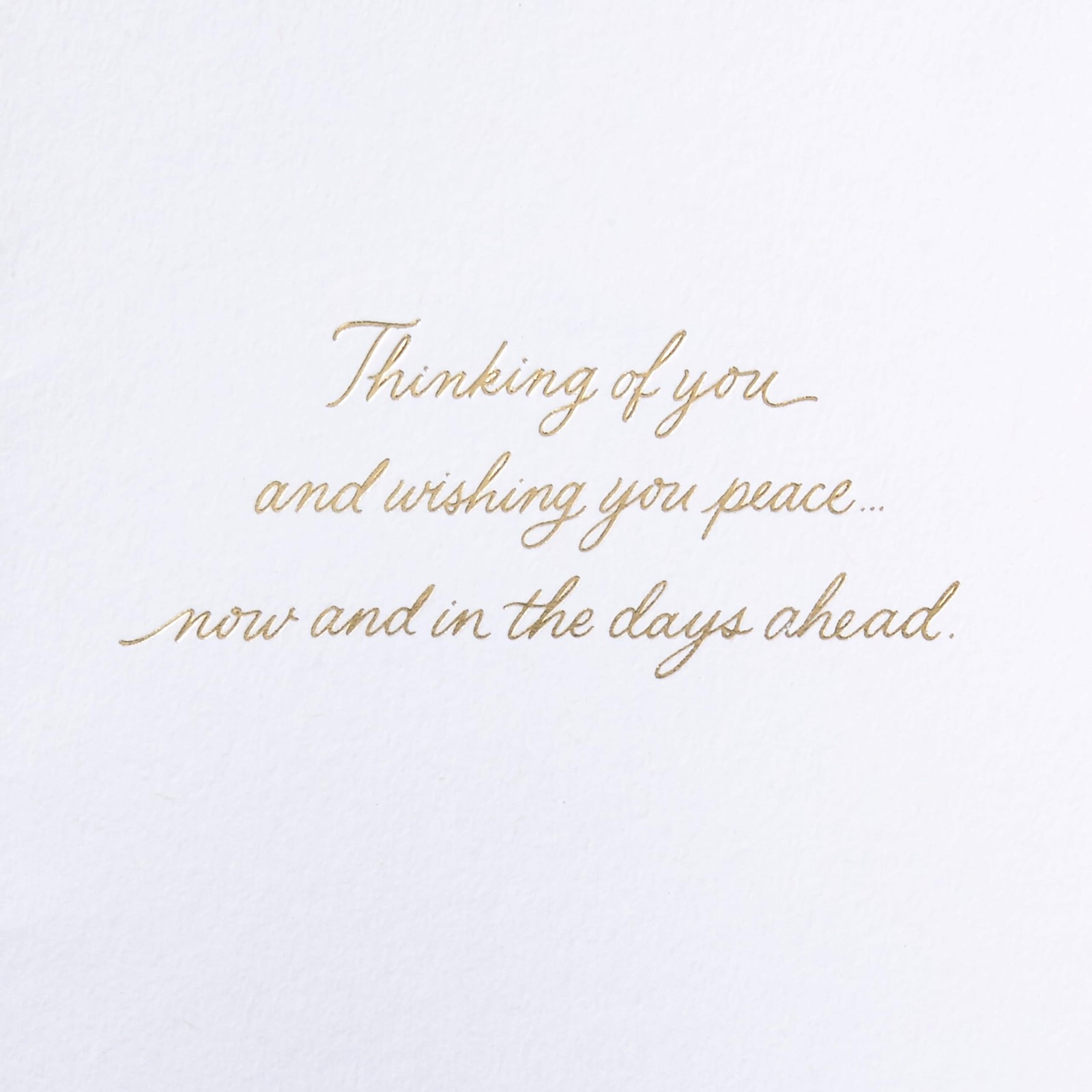 Hallmark Signature Sympathy Card (Butterflies) 11, Our Hearts Are With You
