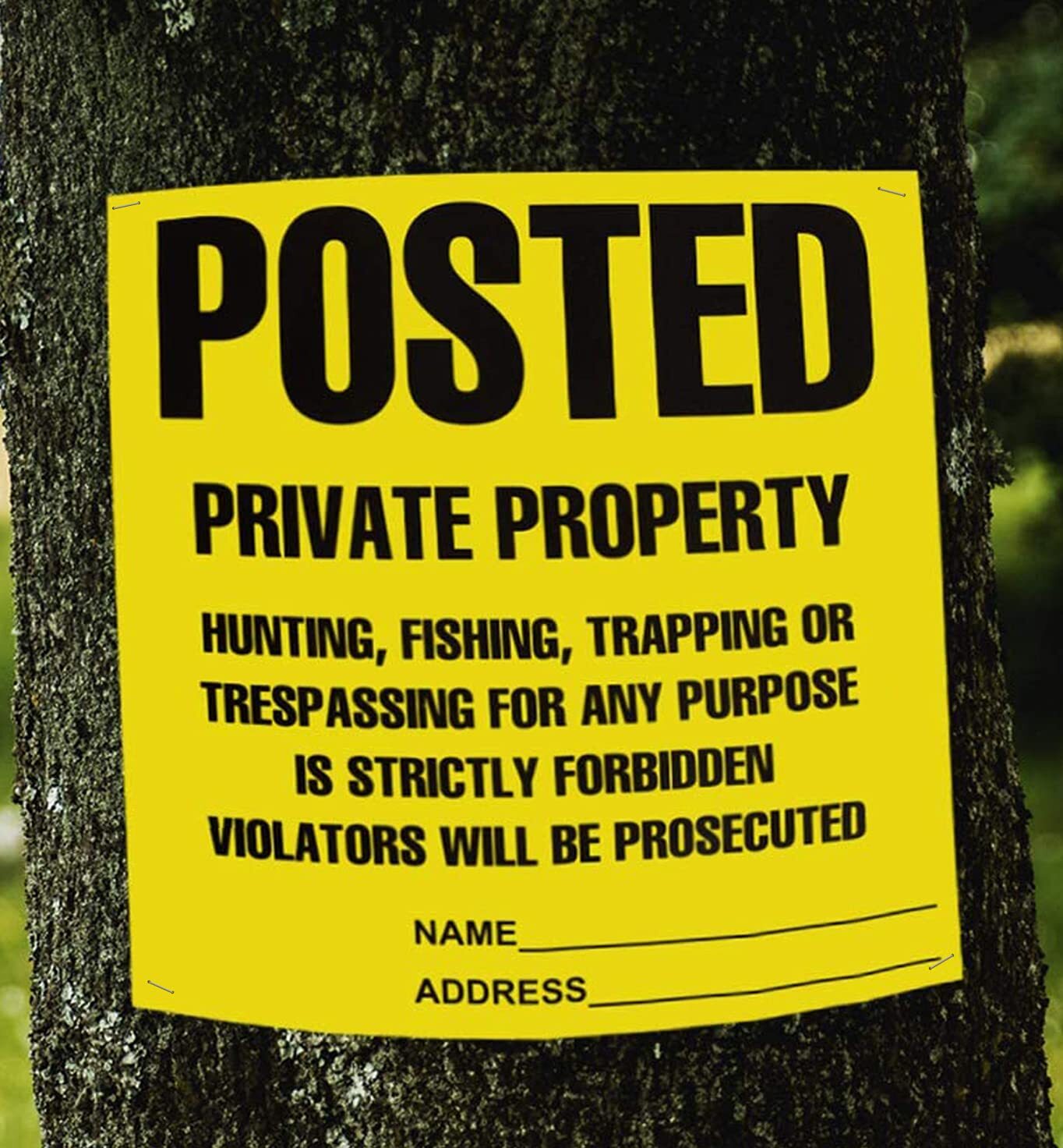 100-Pack No Trespassing/No Hunting Signs 11x11in Yellow Weather-Resistant