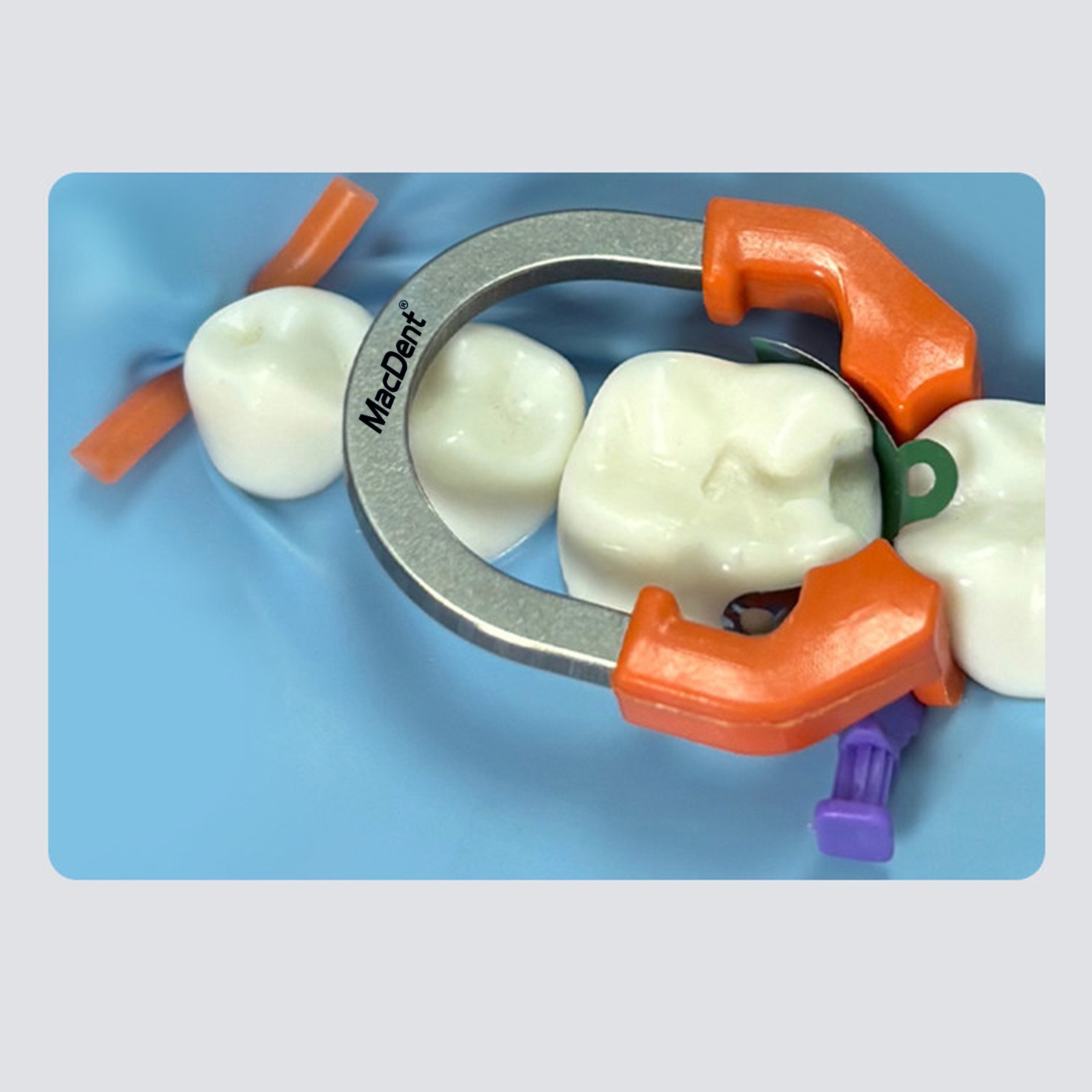 Dental Matrix Bands Ring Sectional Matrice Clamp Wedges Fit Palodent V3 System