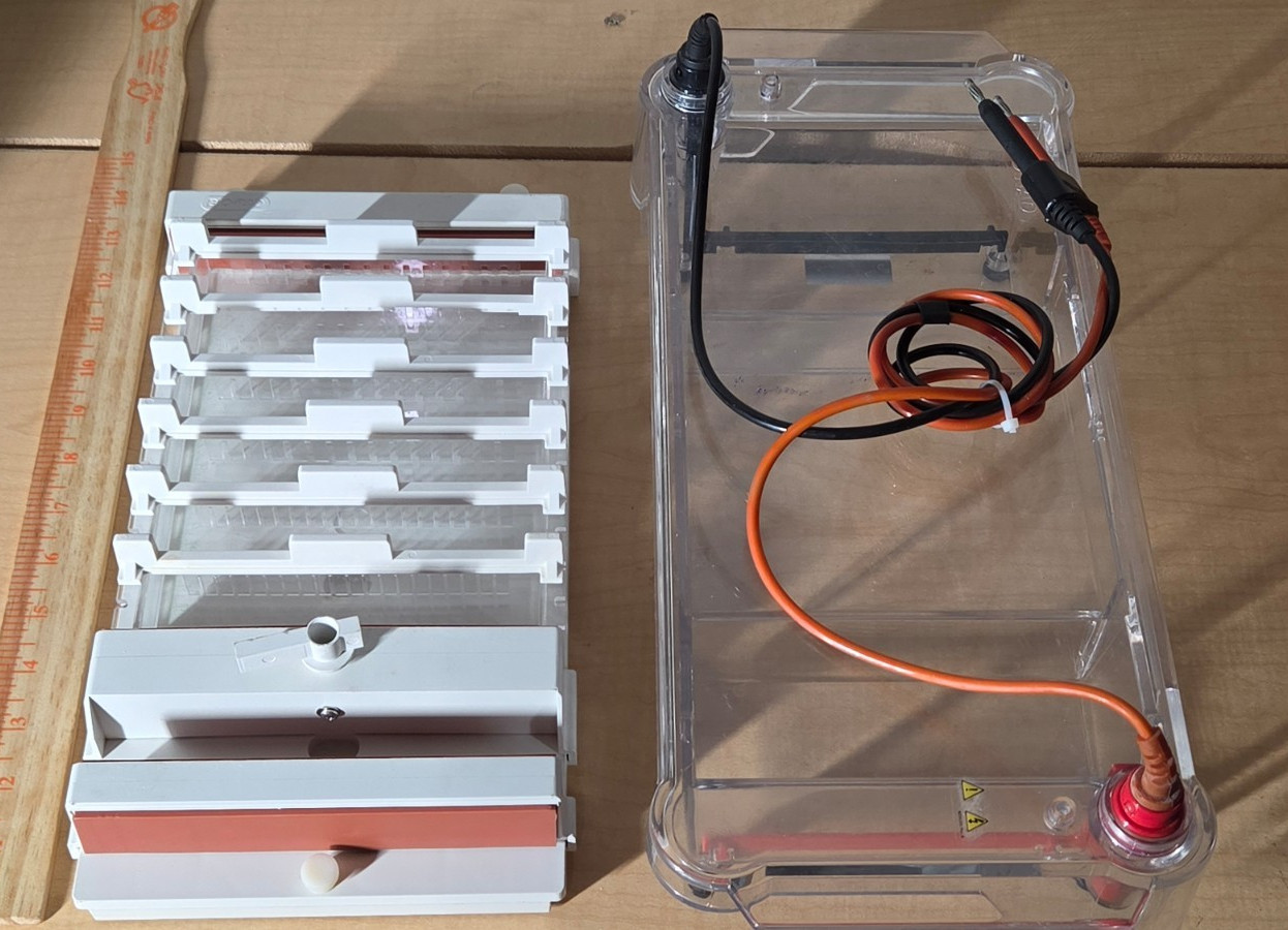 Bio-Rad Sub-Cell GT Basic Electrophoresis System with Tank Tray Combs Gel Caster